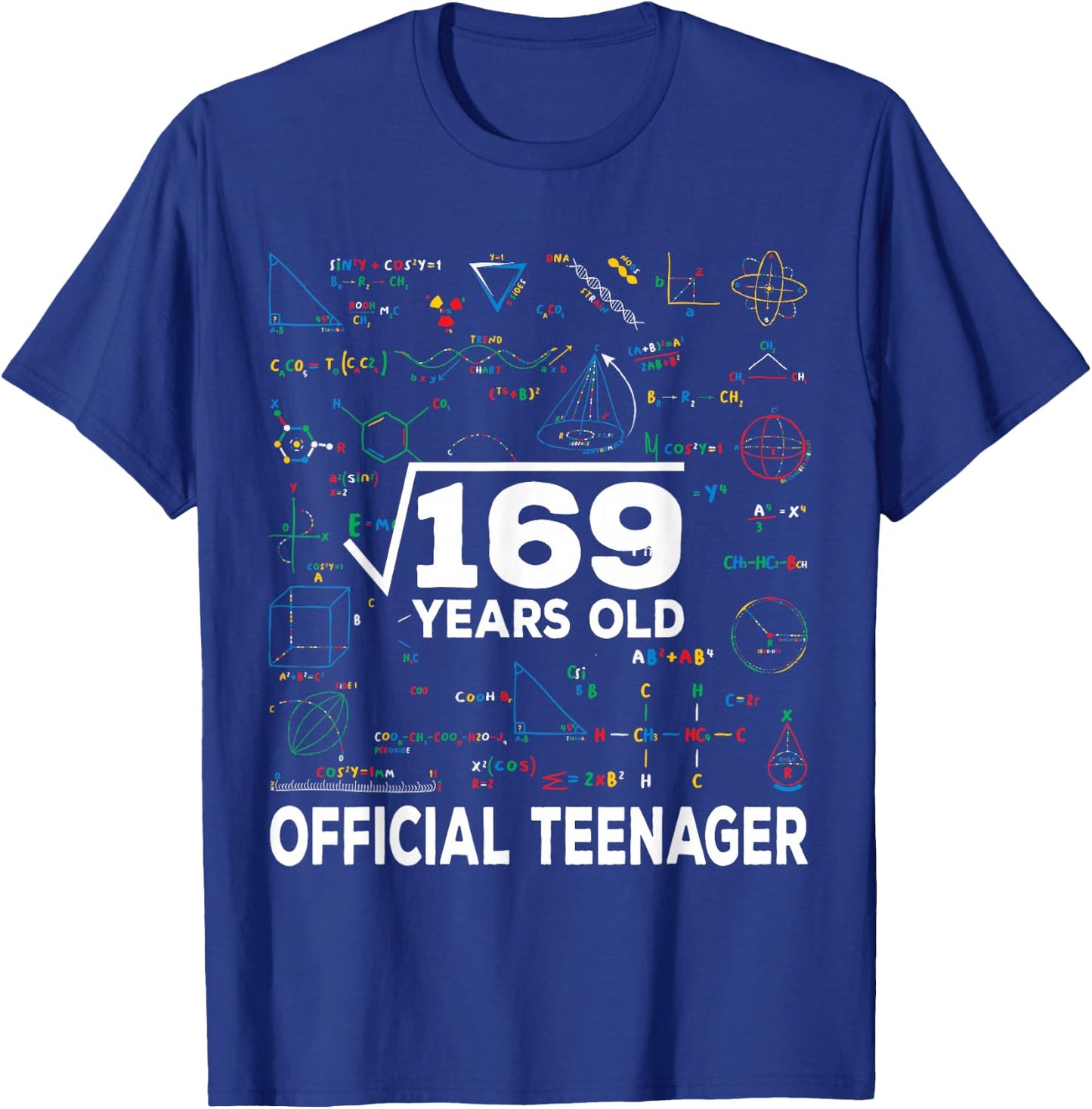 Square Root Of 169 13 Years Old Official Teenager Birthday T-Shirt - T-Shirt | Royal
