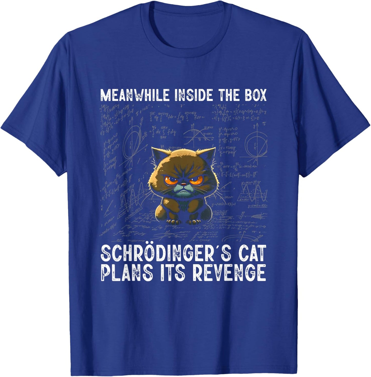 Inside The Box Schrödingers Cat Physics Student Gift , black T-Shirt - T-Shirt | Royal