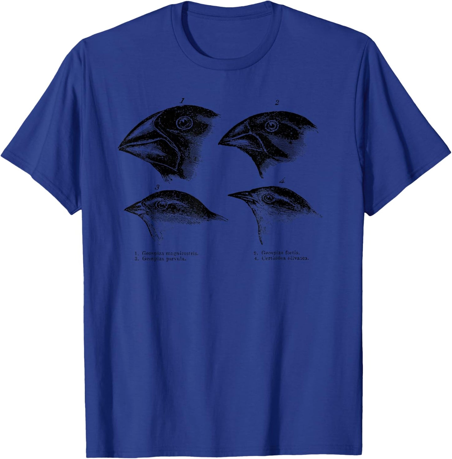 Darwin's Finches Evolution Atheist Illustration T-Shirt - T-Shirt | Royal