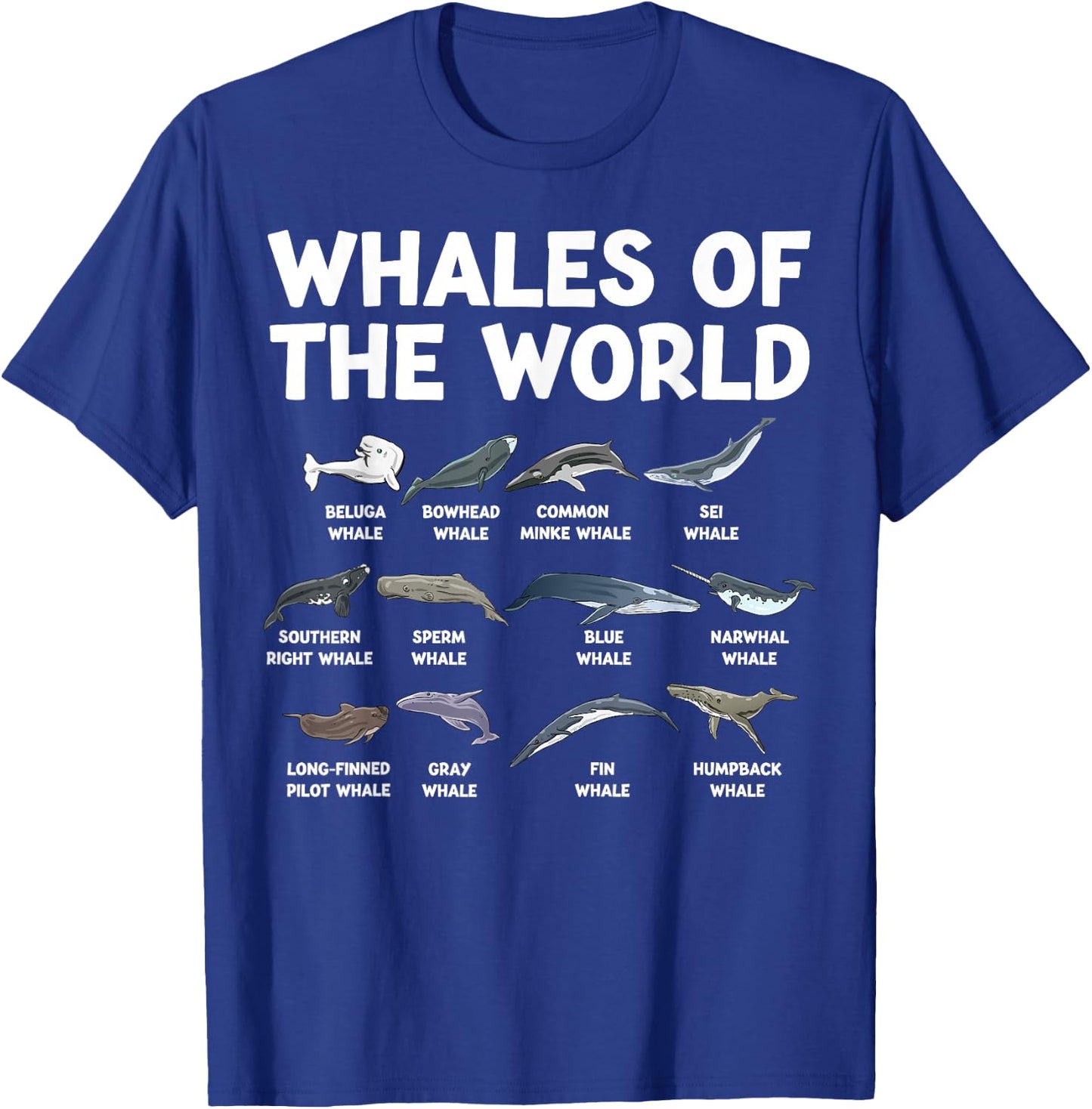 Whales Of The World Kawaii Types Of Whales Sea Animal Whale T-Shirt - T-Shirt | Royal