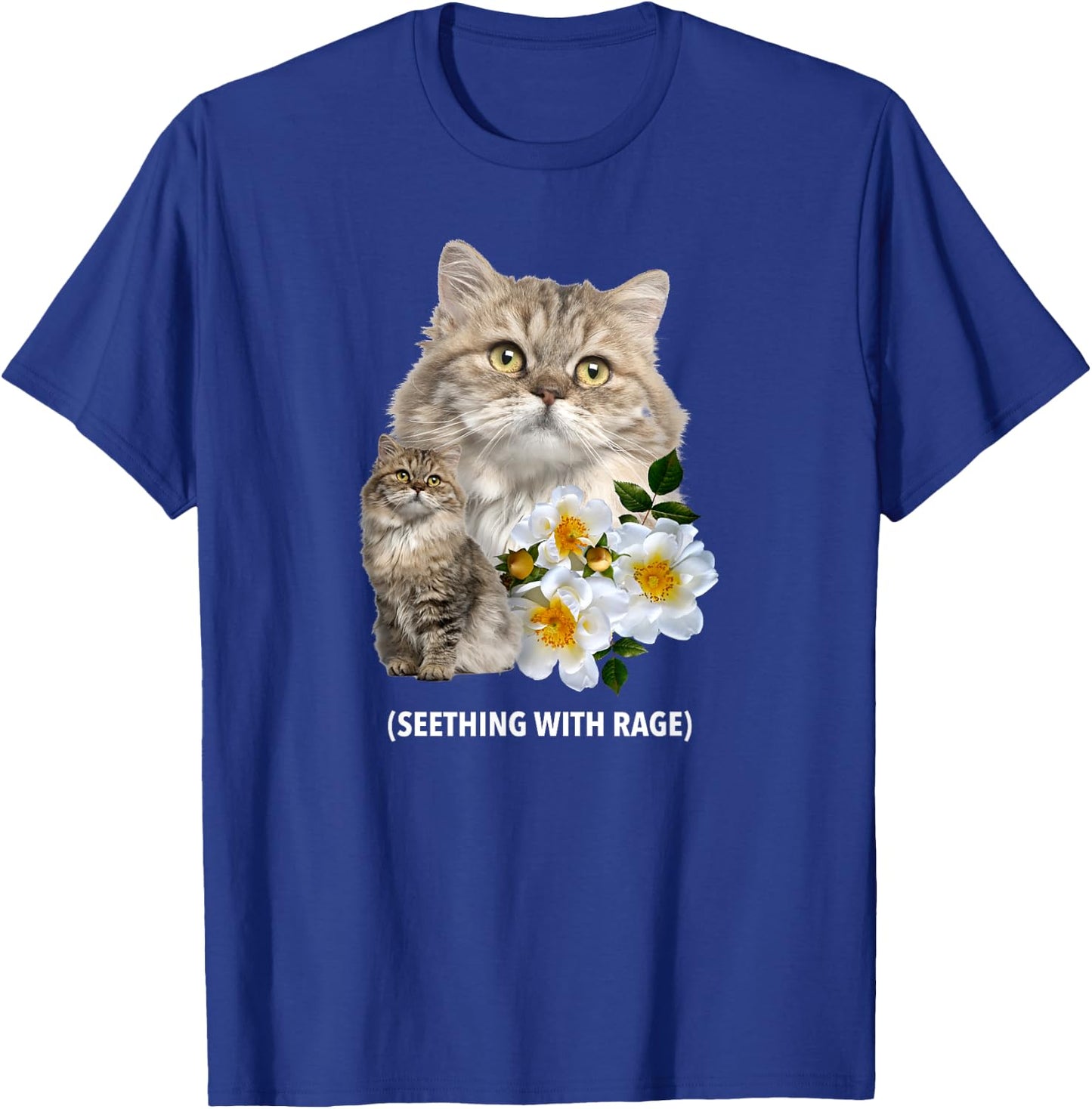 Funny Cat Seething with Rage Cute Sarcastic Kitty Feline Men Women T-Shirt - T-Shirt | Royal