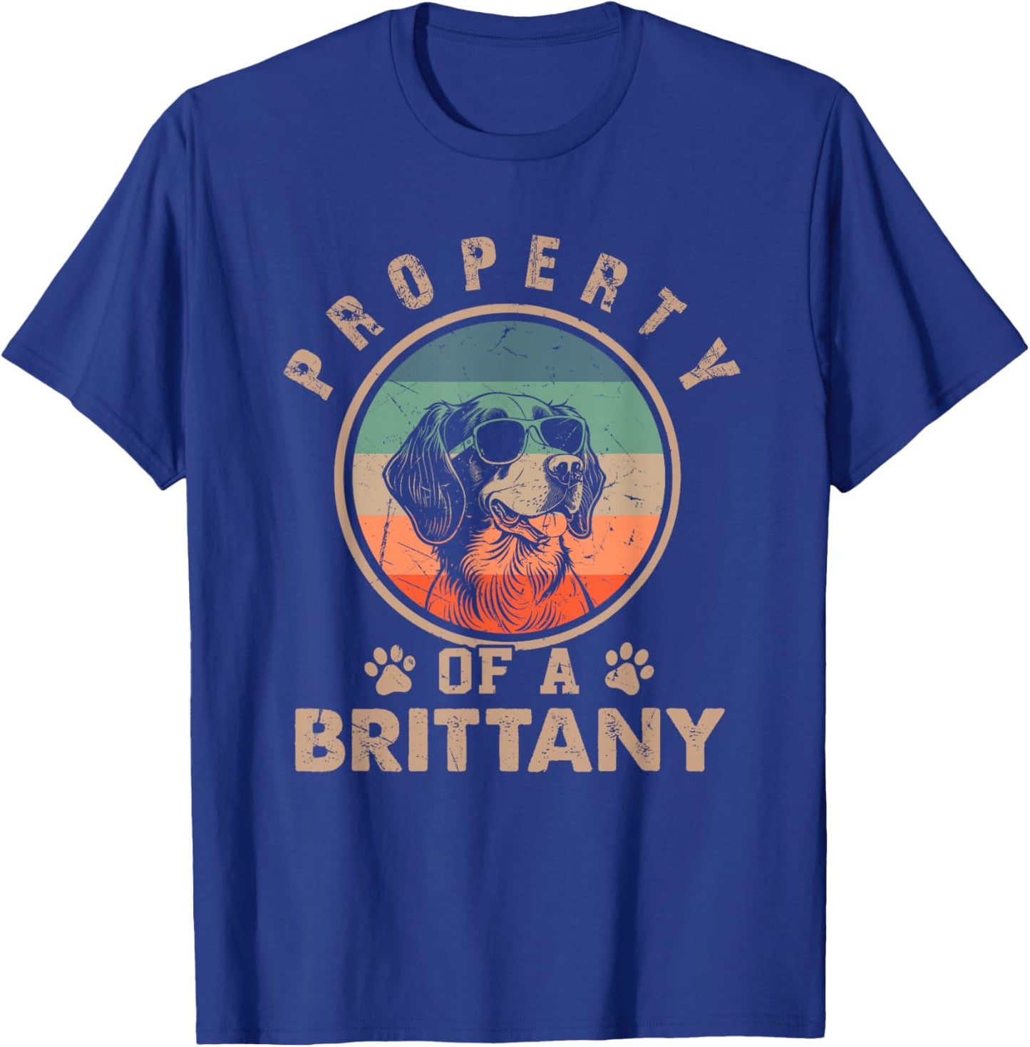 Property Of A Brittany Gifts Funny Brittany Dog Lover Owner T-Shirt - T-Shirt | Royal