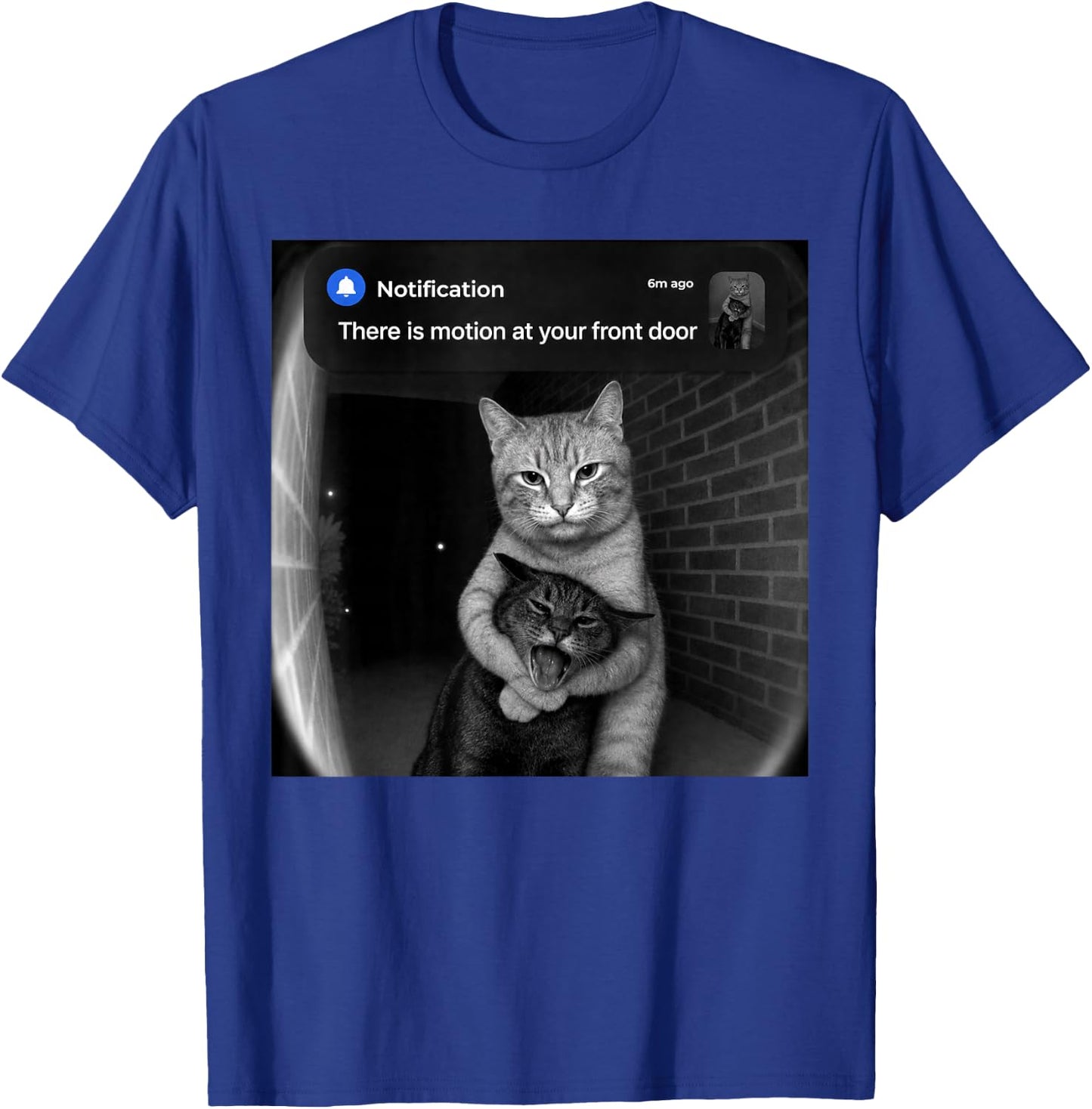 There is Motion at Your Front Door Funny Sibling Cats Meme T-Shirt - T-Shirt | Royal