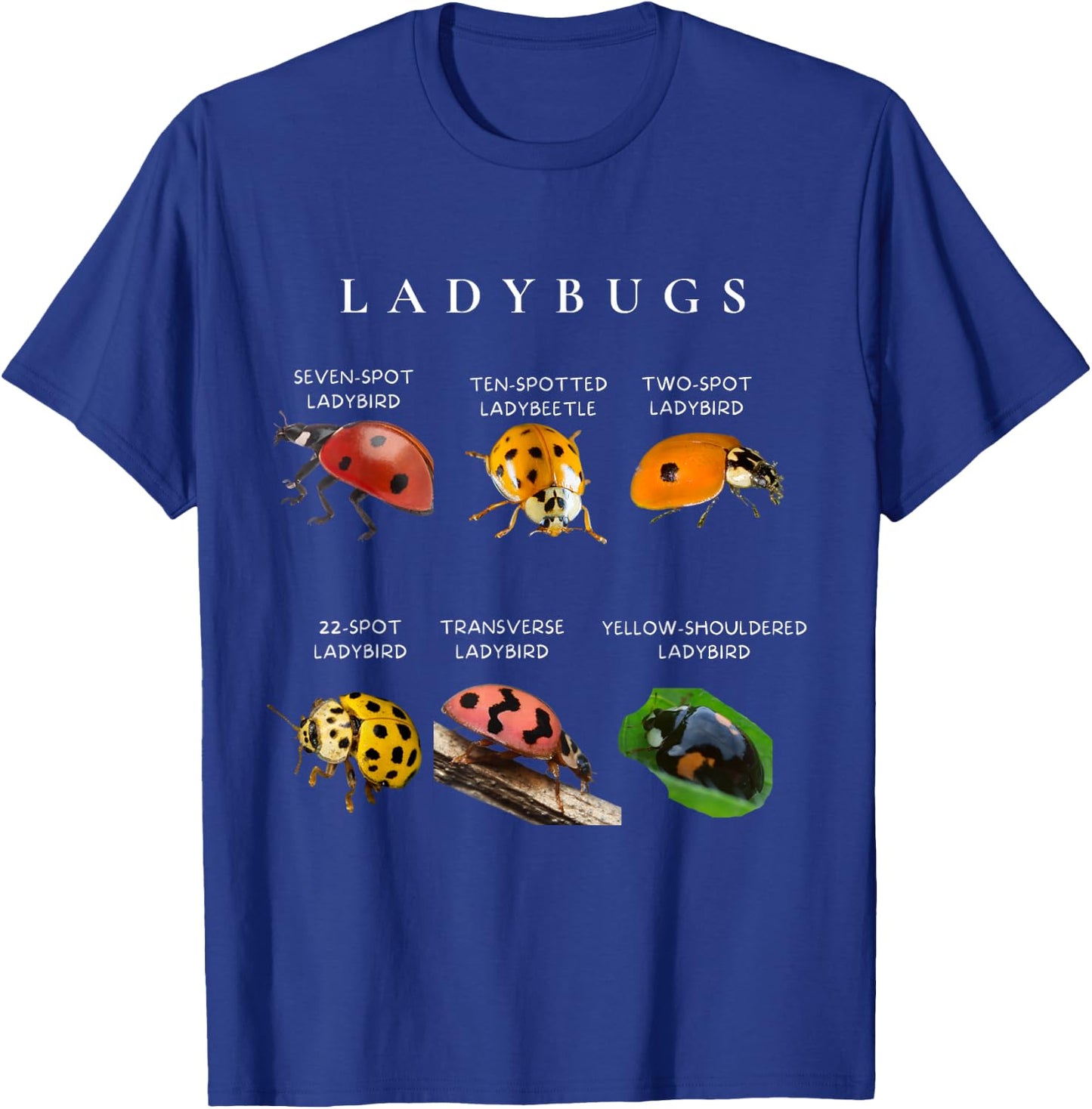 Types of ladybugs insects bug identification science T-Shirt - T-Shirt | Royal