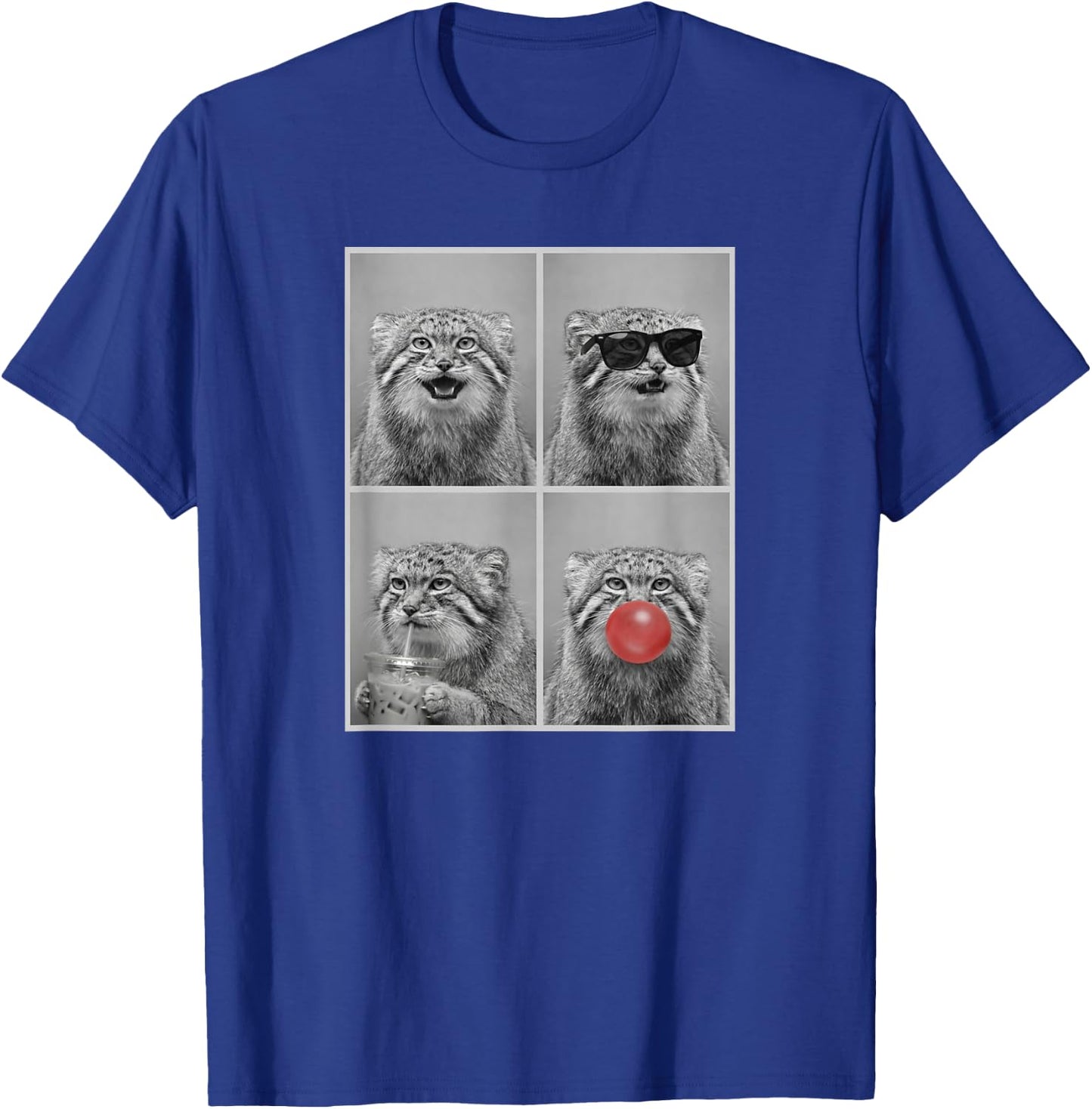 Pallas's Cats Funny Pallas's cat T-Shirt - T-Shirt | Royal