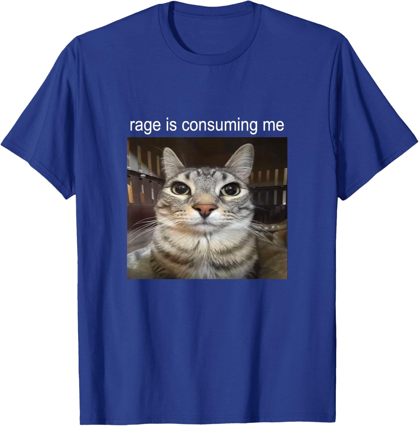 Wut verzehrt mich Dummes Starrendes Katzen-Meme , black T-Shirt - T-Shirt | Royal