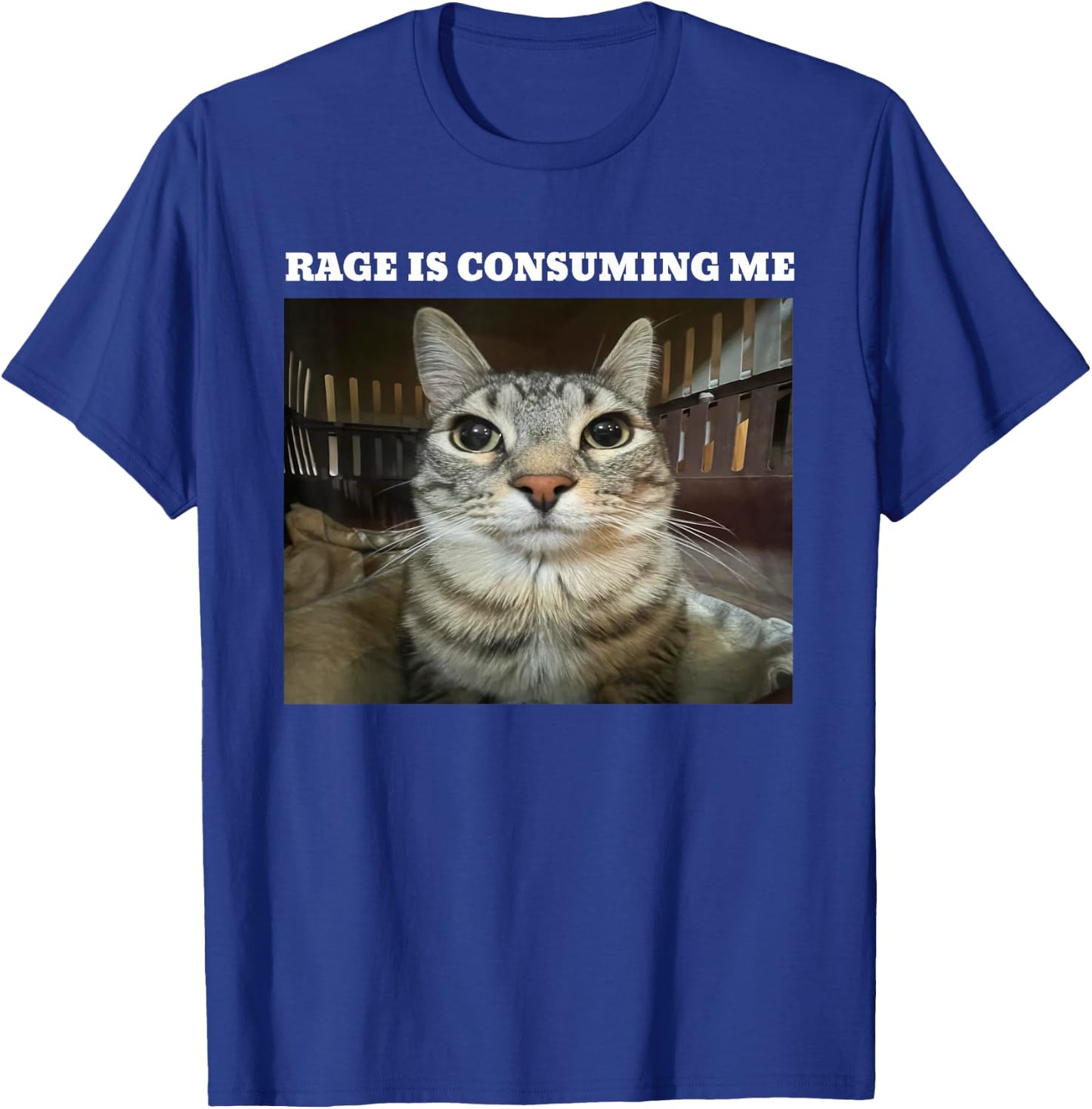 Rage Is Consuming Me Cat Meme T-Shirt - T-Shirt | Royal
