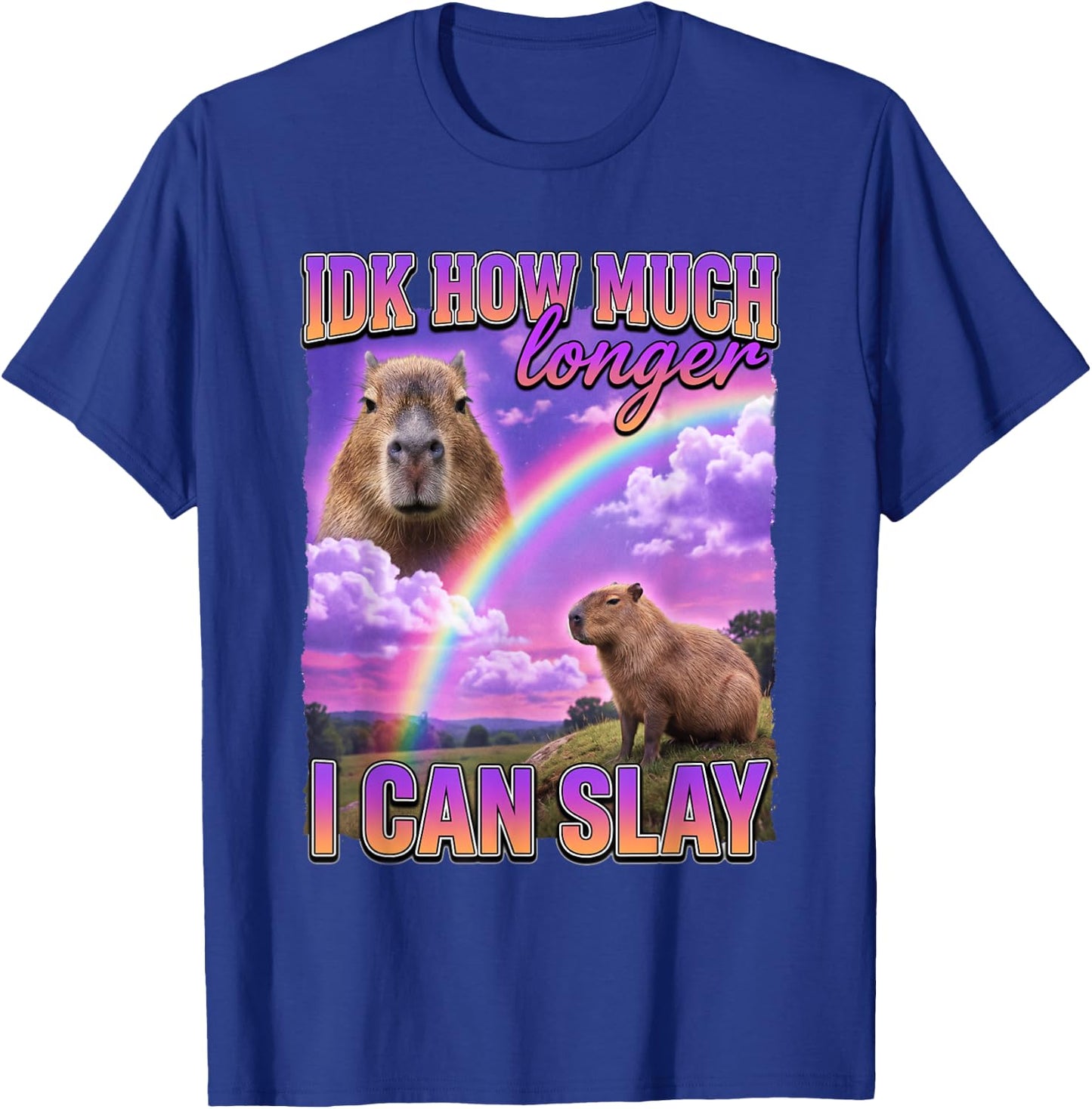 Funny Capybara Meme IDK How Much Longer I Can Slay T-Shirt - T-Shirt | Royal