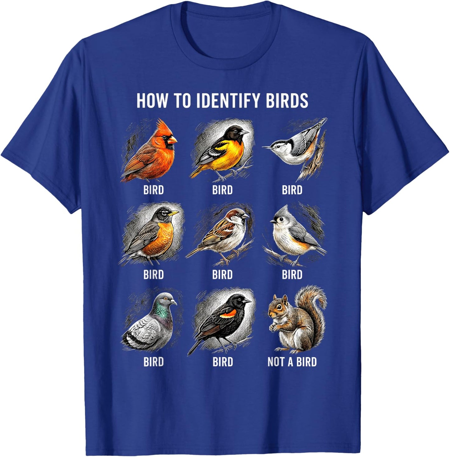 Vögel Bestimmen Lustiges Eichhörnchen Vogelbeobachtung T-Shirt - T-Shirt | Royal