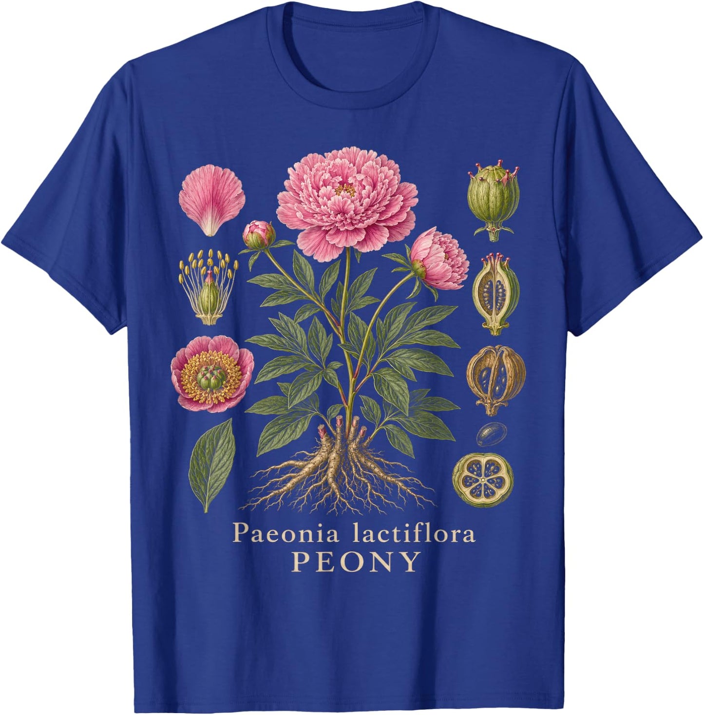 Peony Botanical Anatomy Flower Diagram Vintage Style T-Shirt - T-Shirt | Royal
