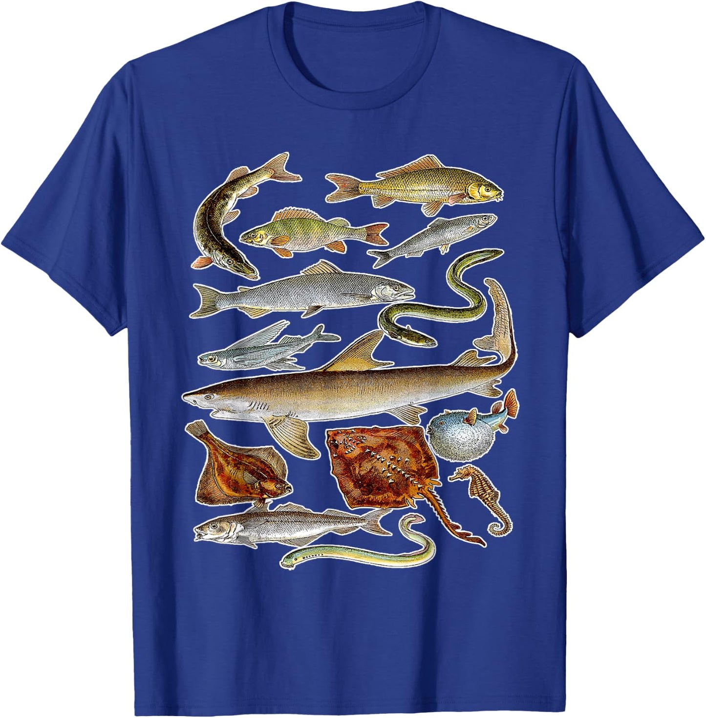 Sea Animals - Fish Sharks and Eels Illustration T-Shirt - T-Shirt | Royal