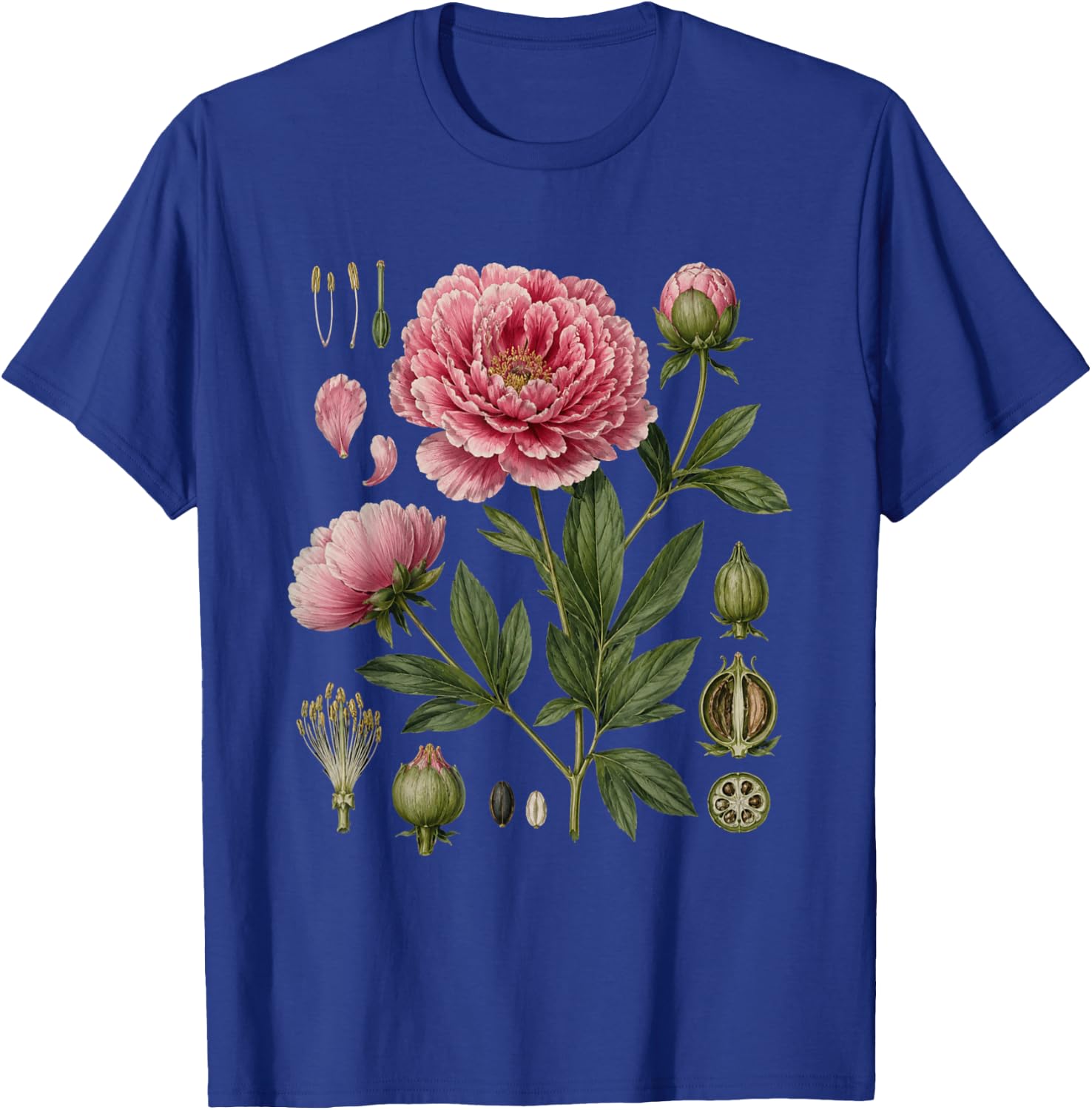 Peony Anatomy Botanical Illustration Women Flower Peony T-Shirt - T-Shirt | Royal