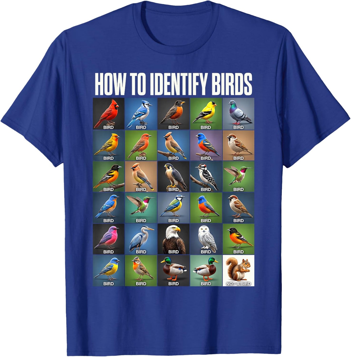 Vögel Bestimmen Lustiges Eichhörnchen Vogelbeobachtung T-Shirt - T-Shirt | Royal