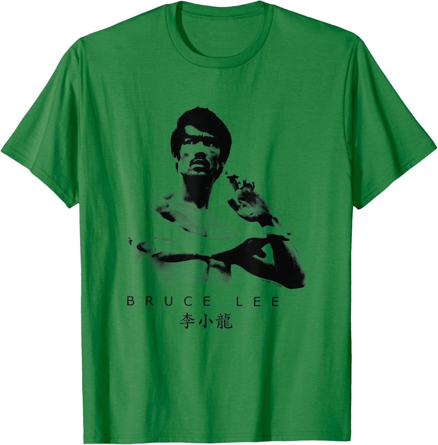 Bruce Lee On Guard Pose Epic Shot , white, S T-Shirt - T-Shirt | Irish Green