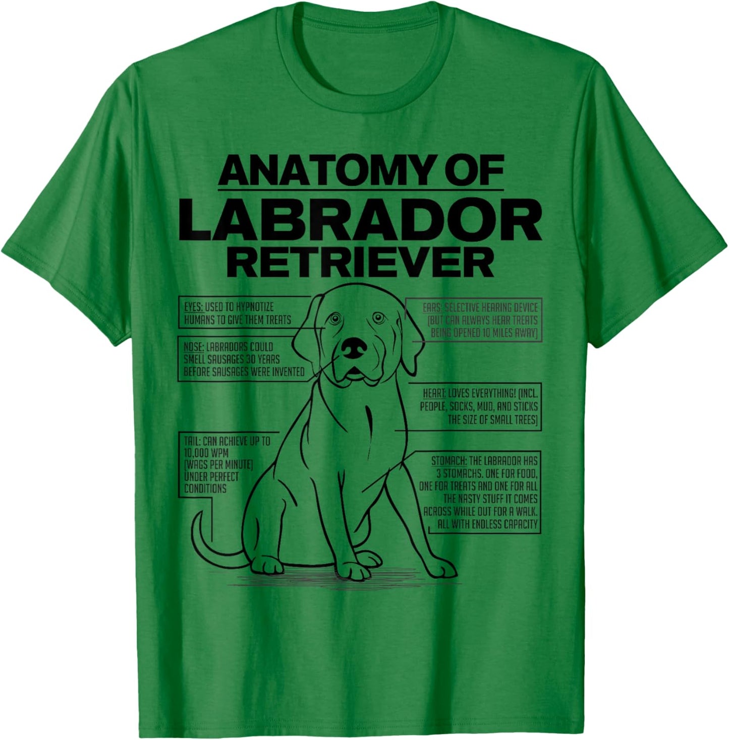 Anatomy of a Labrador Retriever Funny Dog owner gifts shirt T-Shirt - T-Shirt | Irish Green