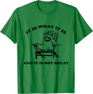 Funny Raccoon It Is What It Is And It Is Not Great , gray T-Shirt - T-Shirt | Irish Green