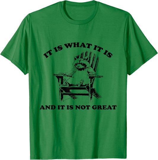 Funny Raccoon It Is What It Is And It Is Not Great , gray T-Shirt - T-Shirt | Irish Green