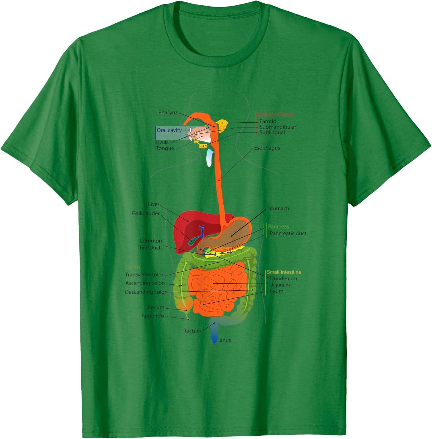 Human Body Digestive System Gastrointestinal Tract Anatomy T-Shirt - T-Shirt | Irish Green