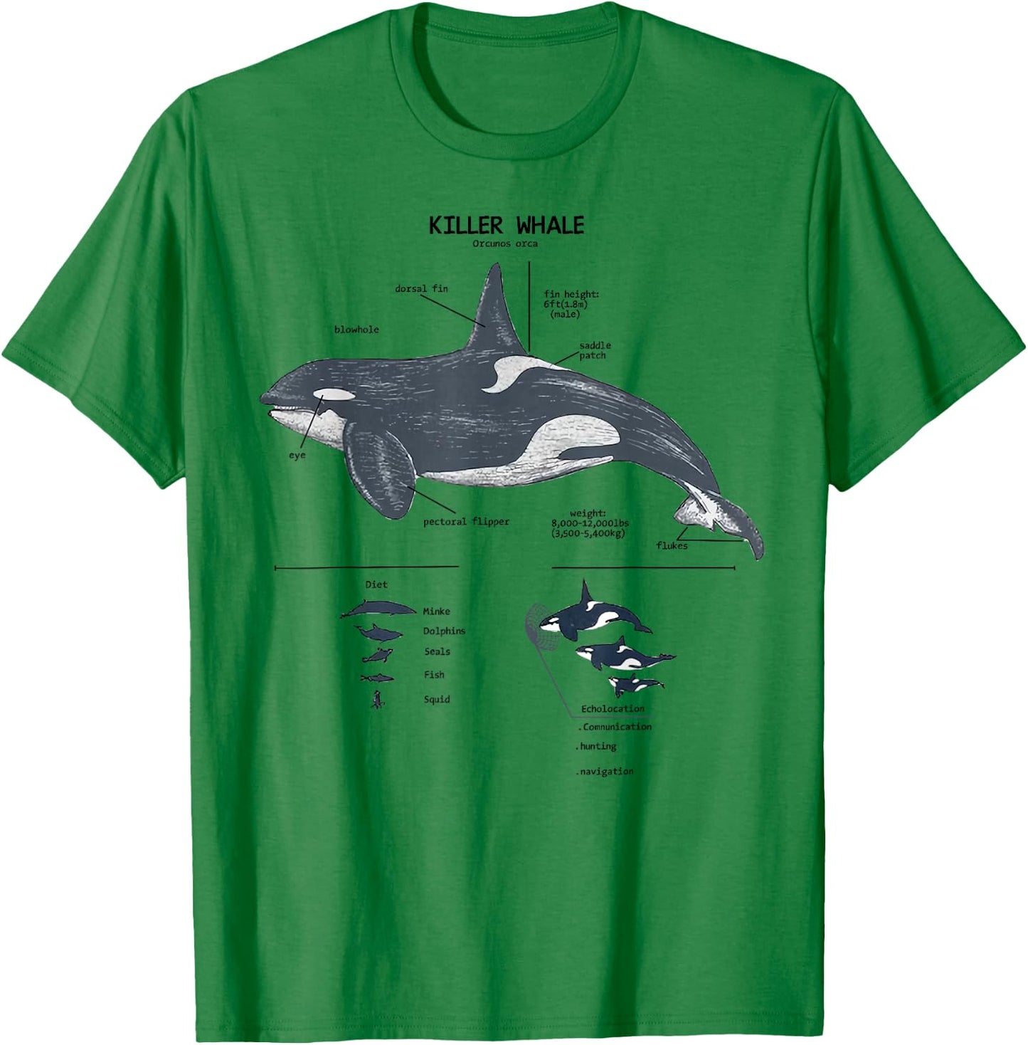 Killer Whale Anatomy Marine Biologist T-Shirt - T-Shirt | Irish Green