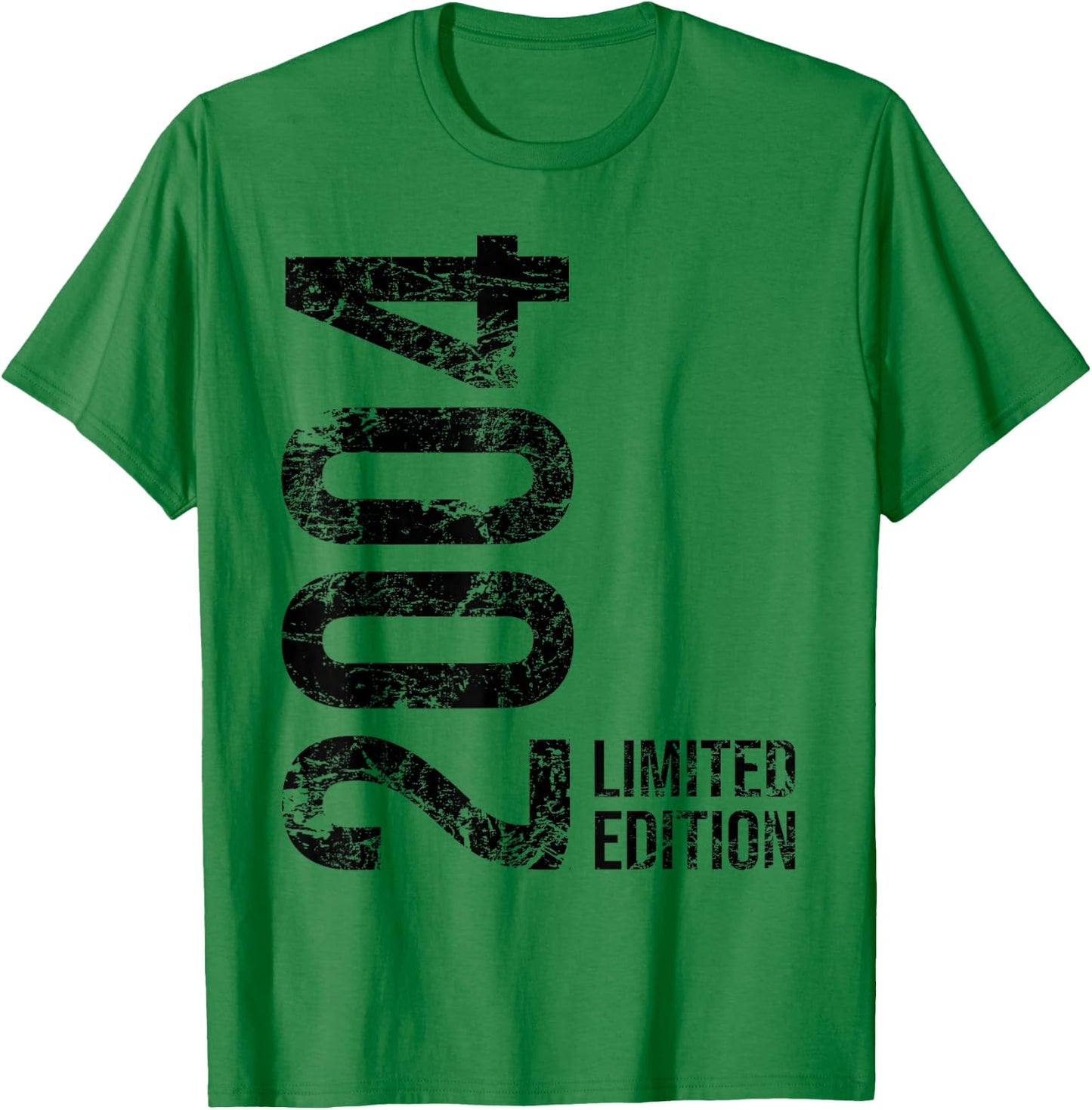 19th Birthday Boy Girl 19 Years 2004 Gift , White T-Shirt - T-Shirt | Irish Green