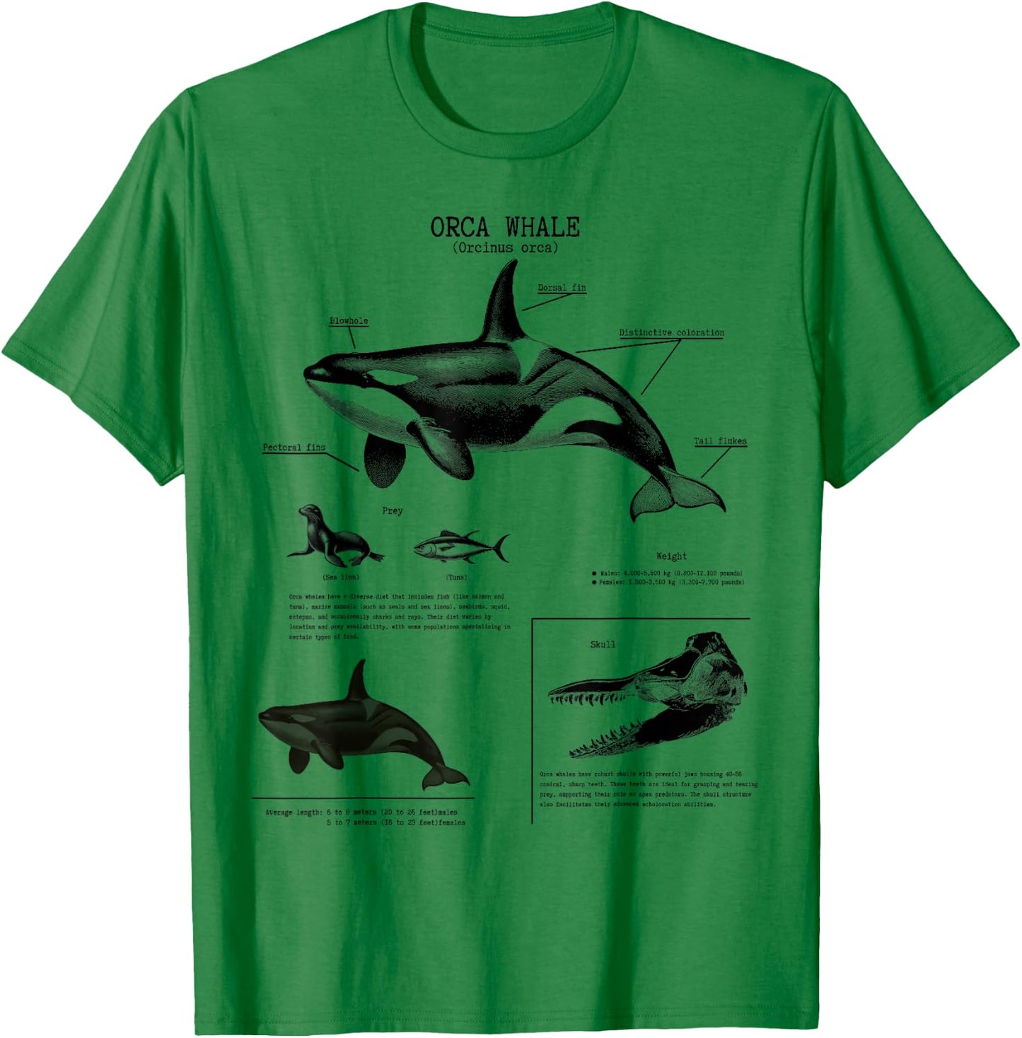 Orca Whale Anatomy Wall Lover Marine Biologist , White T-Shirt - T-Shirt | Irish Green
