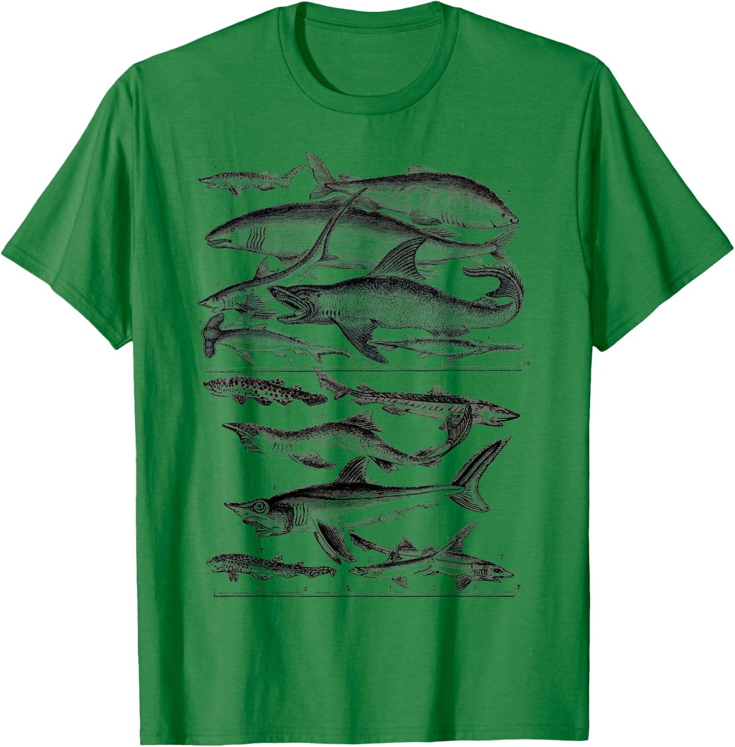 Shark Species Biology Ocean Sea Animals White Shark T-Shirt - T-Shirt | Irish Green