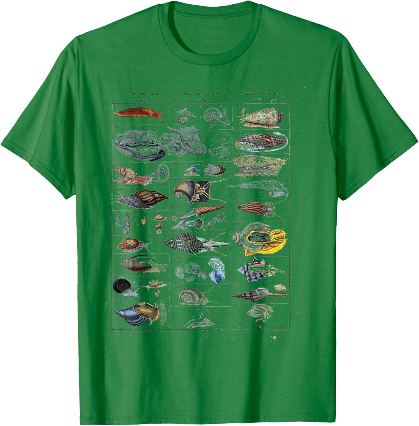 Oceanography Ocean Zoology biologists sailing Mollusk T-Shirt - T-Shirt | Irish Green