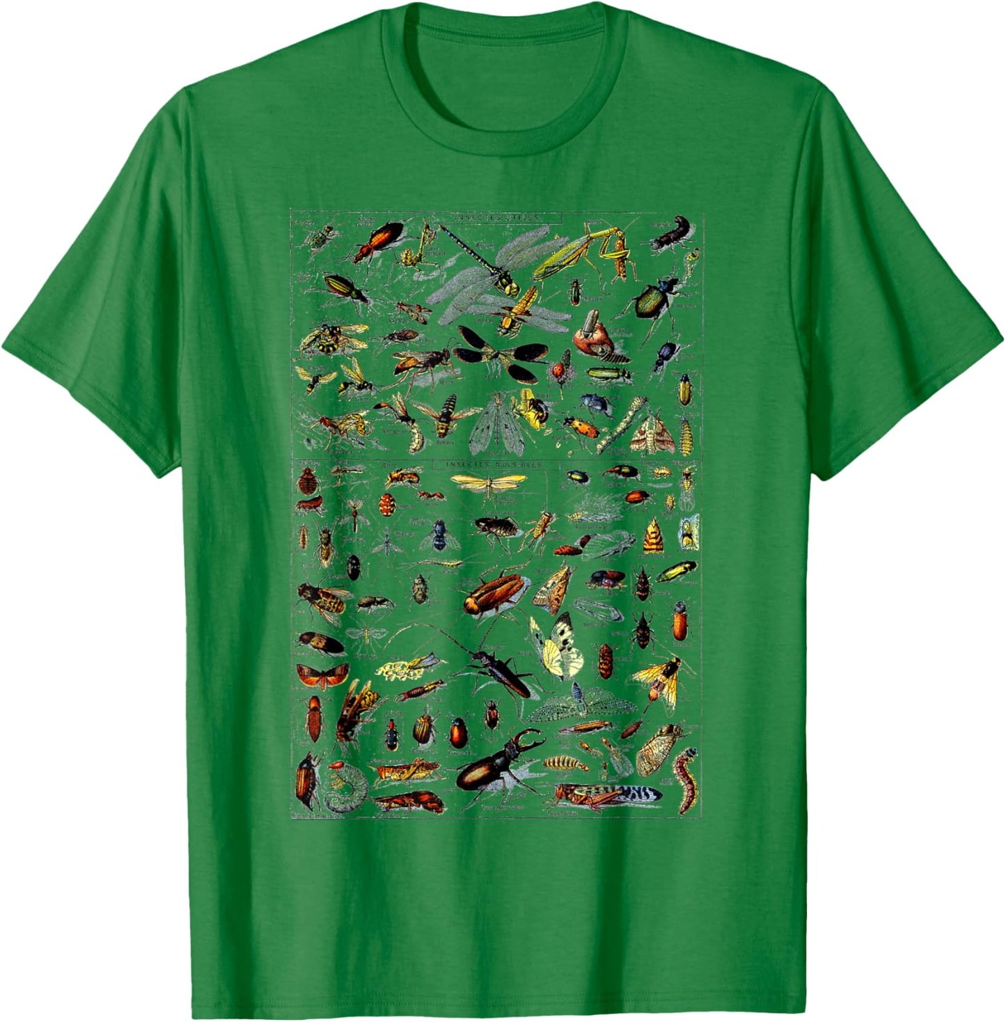 Insects Collection Species Bugs Vintage Chart Entomologie T-Shirt - T-Shirt | Irish Green