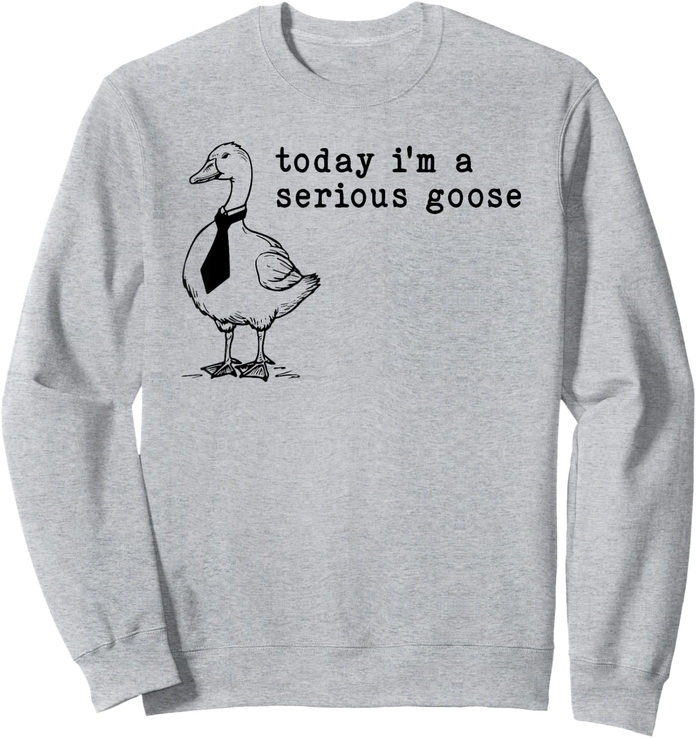 Today I'm a Serious Goose Sweatshirt - Sweatshirt | Ash