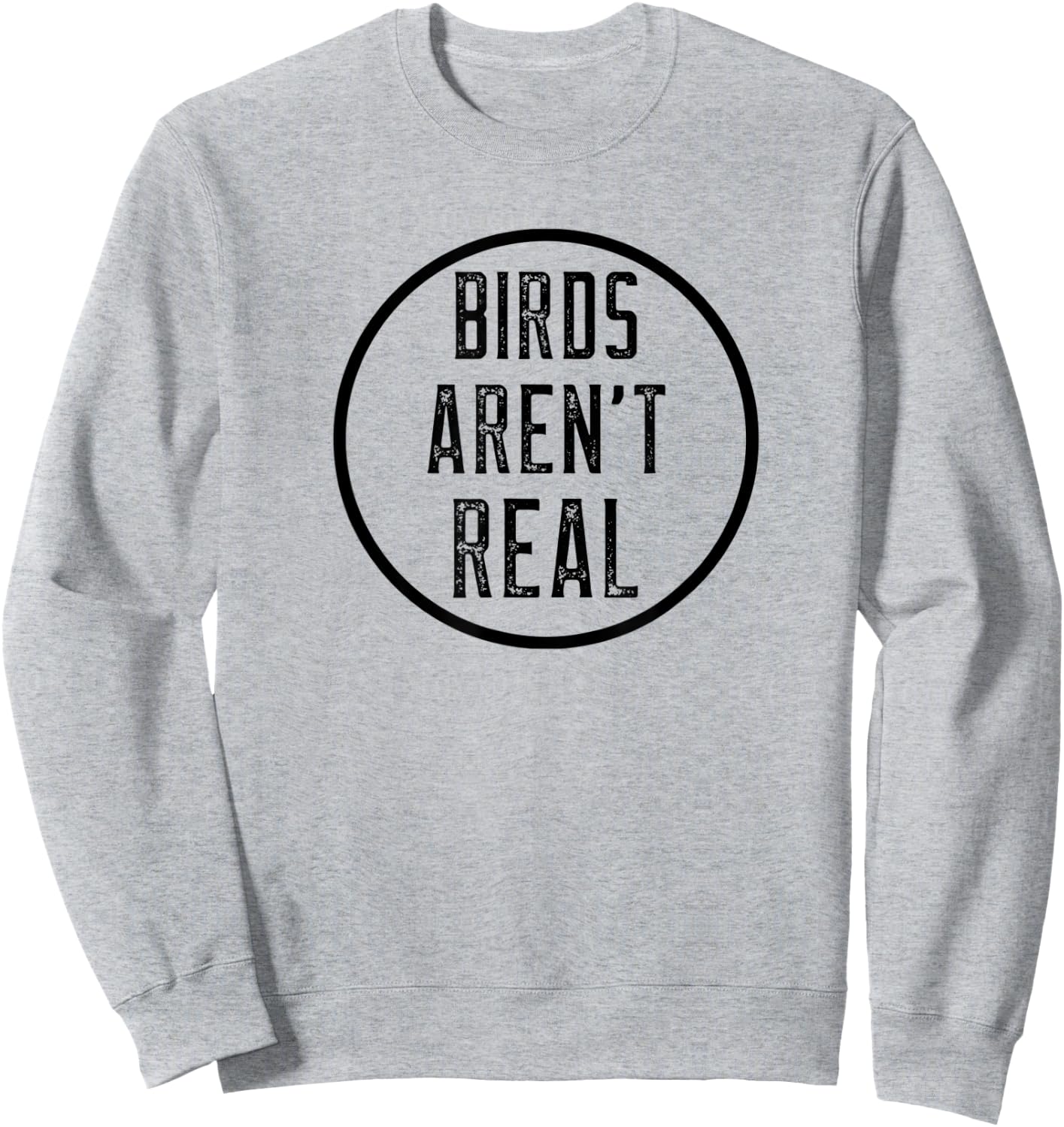Birds Aren't Real Conspiracy Gen Z Design Sweatshirt - Sweatshirt | Ash