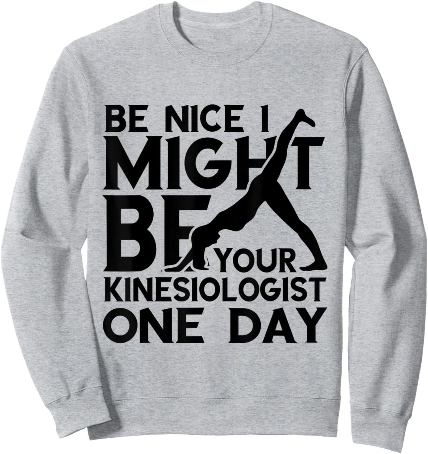 Kinesiology Kinesiologist One Day Be Nice Kinesiotherapist Sweatshirt - Sweatshirt | Ash