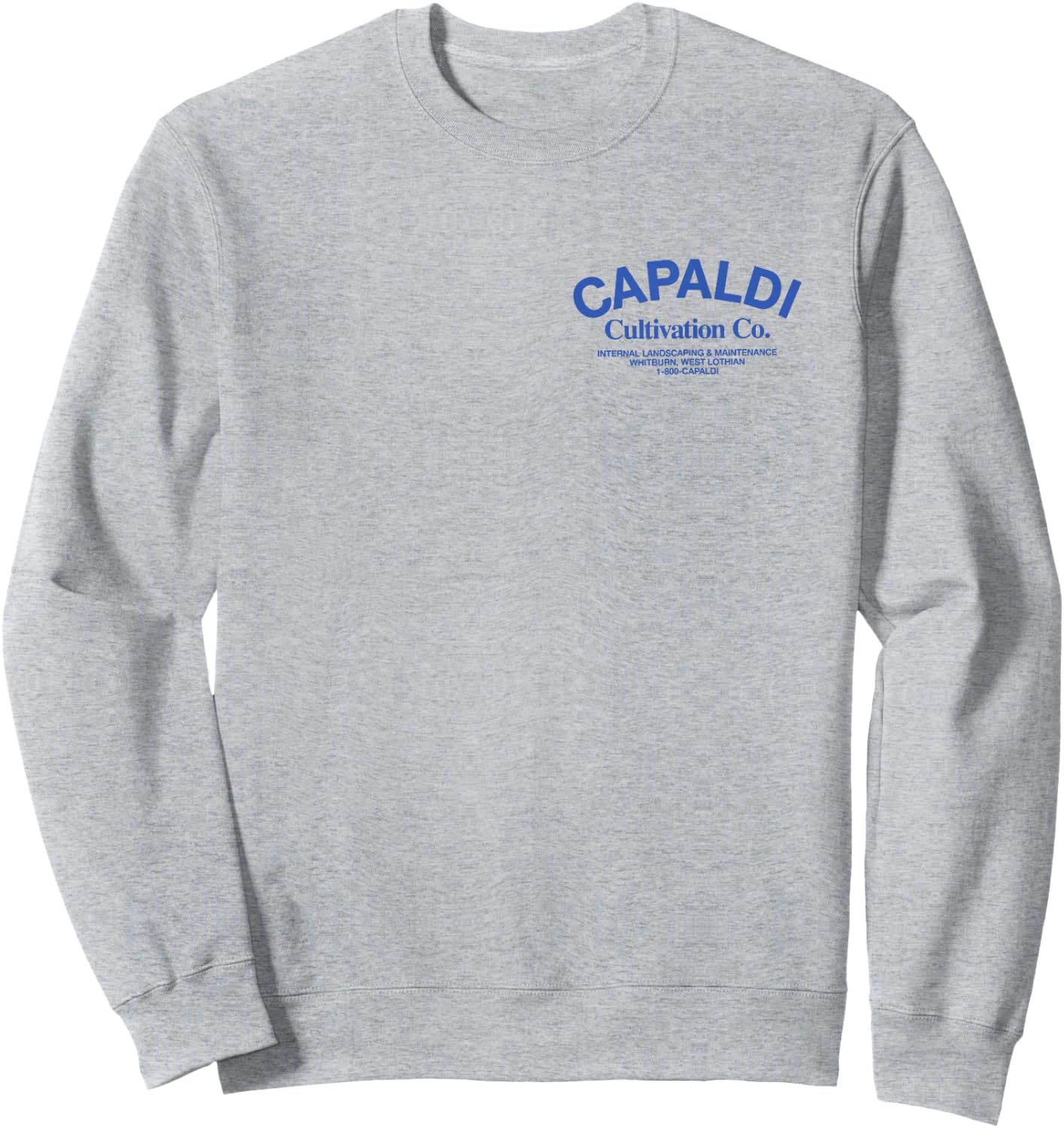 Lewis Capaldi Cultivation CO. Sweatshirt - Sweatshirt | Ash