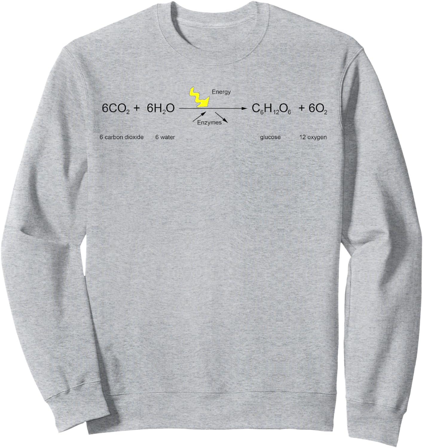 Photosynthesis Cycle Funny Biology Class Kids Student Shirt Sweatshirt - Sweatshirt | Ash