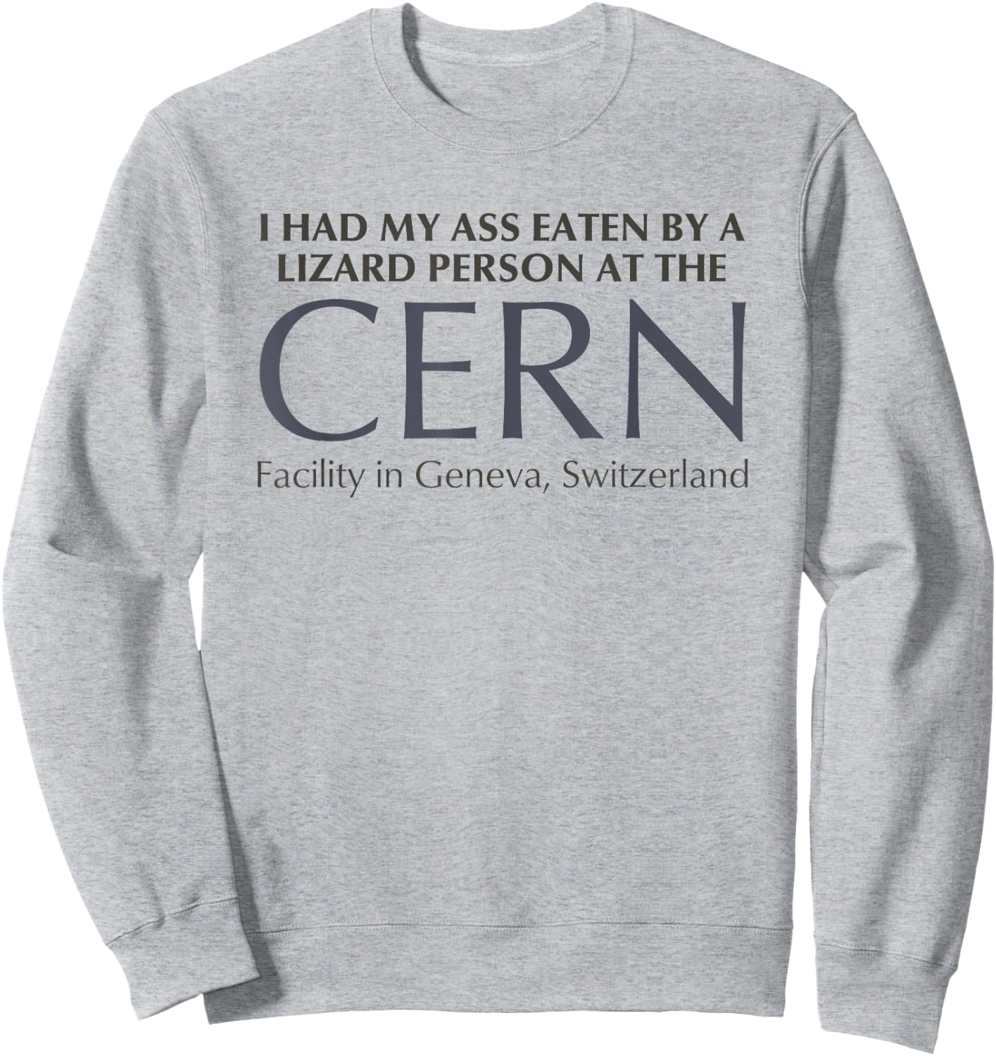 T-Shirt Sweatshirt - Sweatshirt | Ash