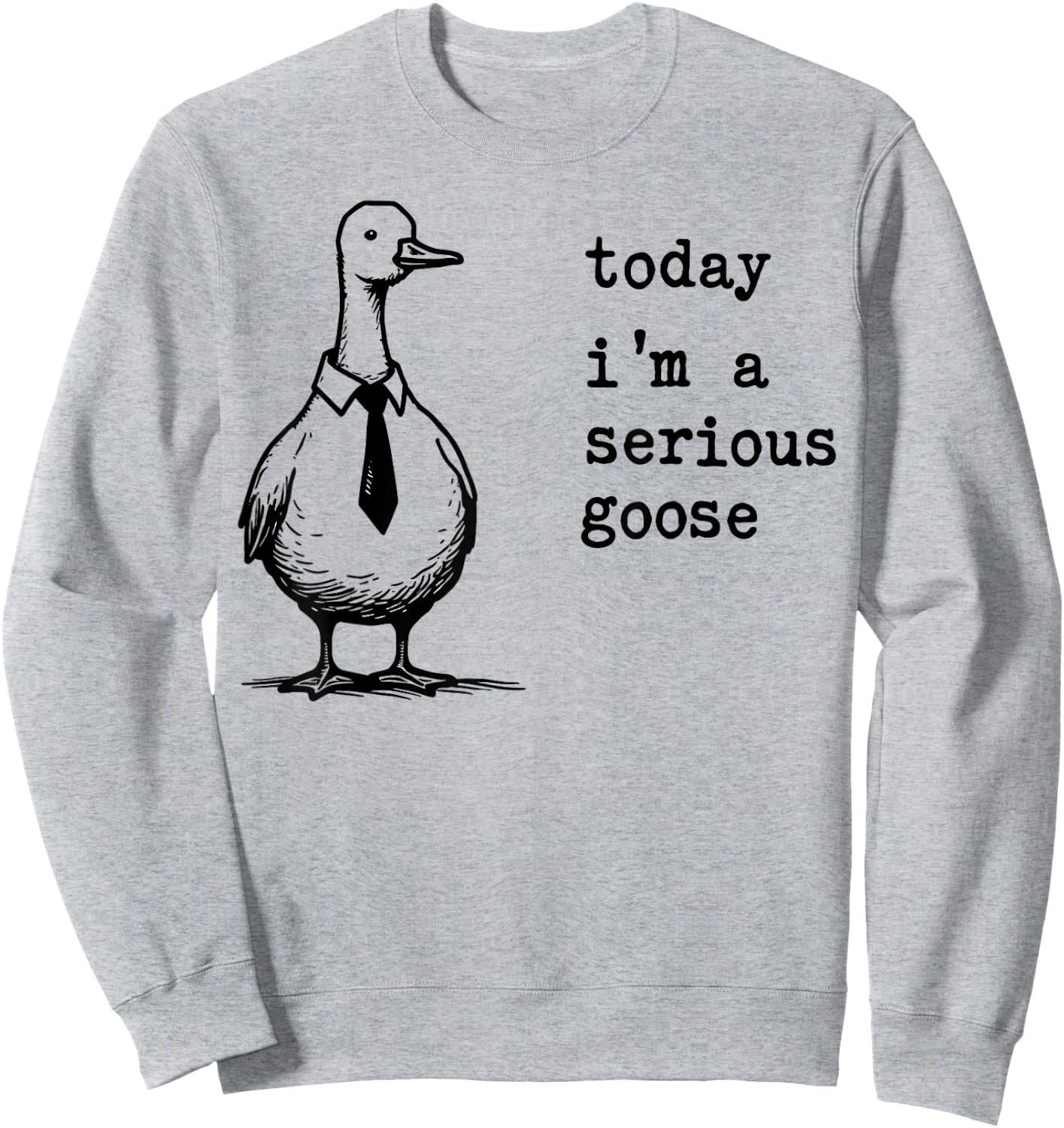 Today I'm A Serious Goose Funny Serious Goose Men Women Kids Sweatshirt - Sweatshirt | Ash