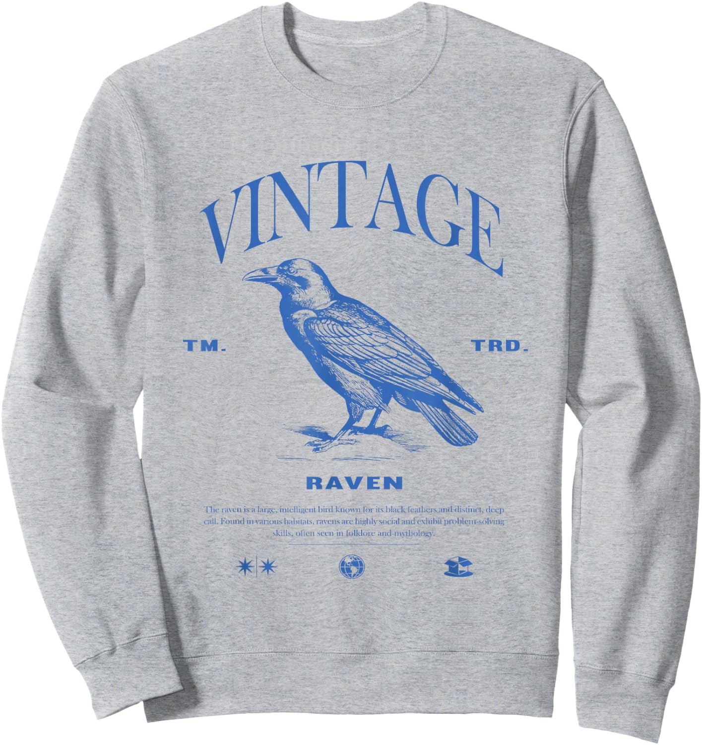 Raven Vintage Sweatshirt - Sweatshirt | Ash