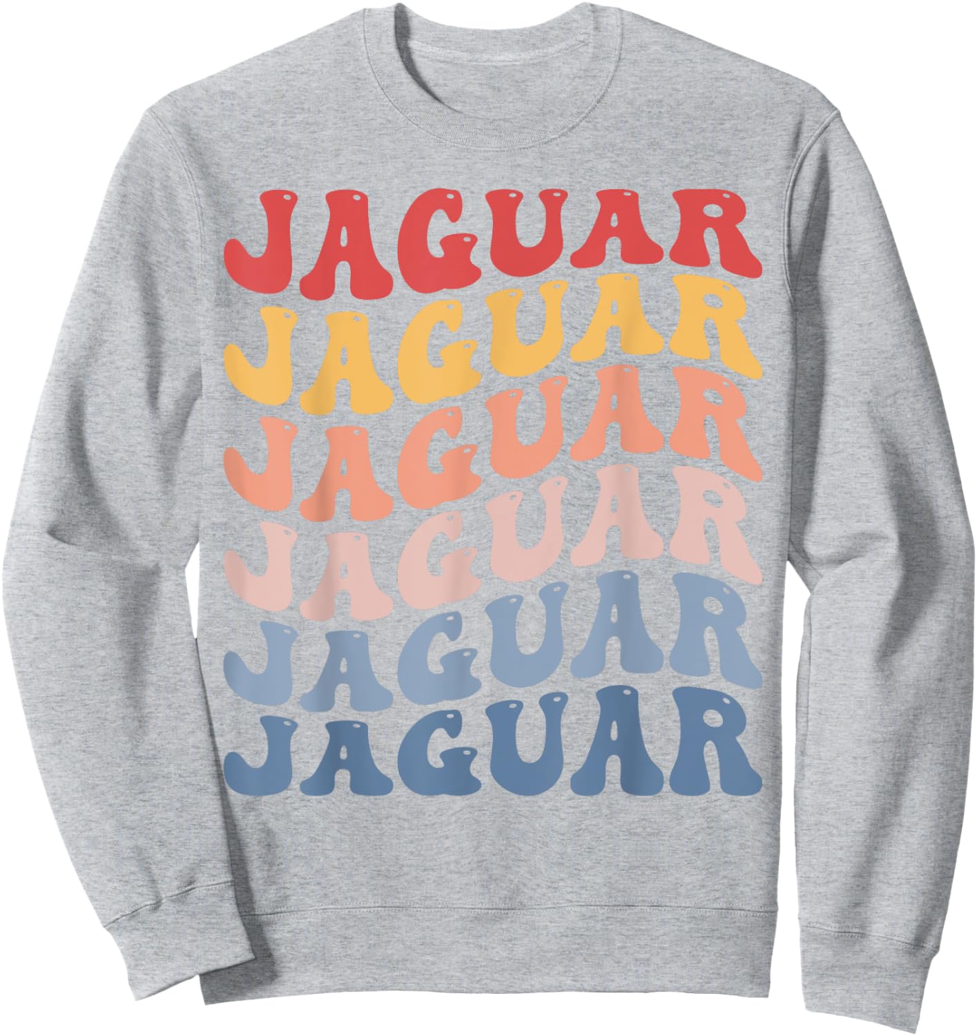 Jaguar Groovy Retro Sweatshirt - Sweatshirt | Ash