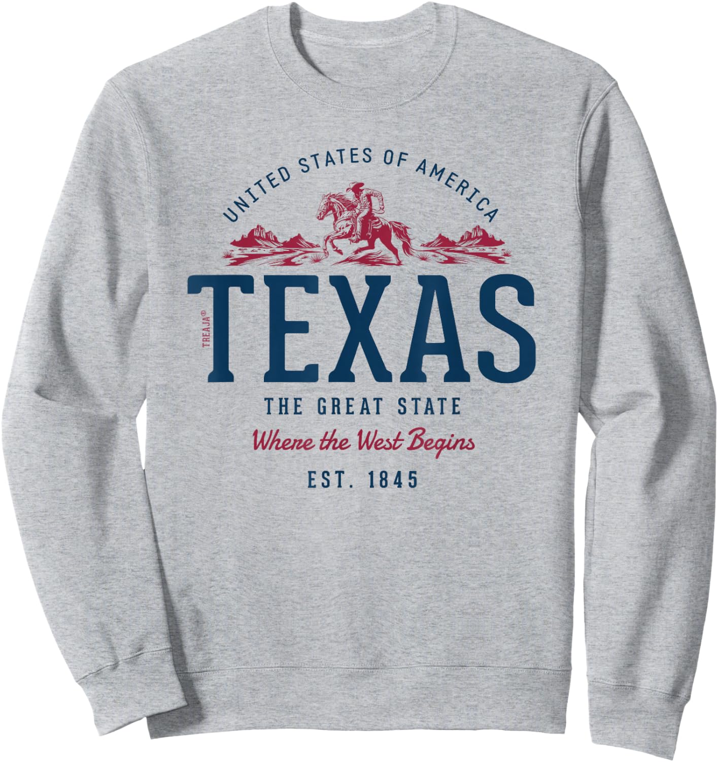 Vintage Look Retro Style United States Texas , White Sweatshirt - Sweatshirt | Ash