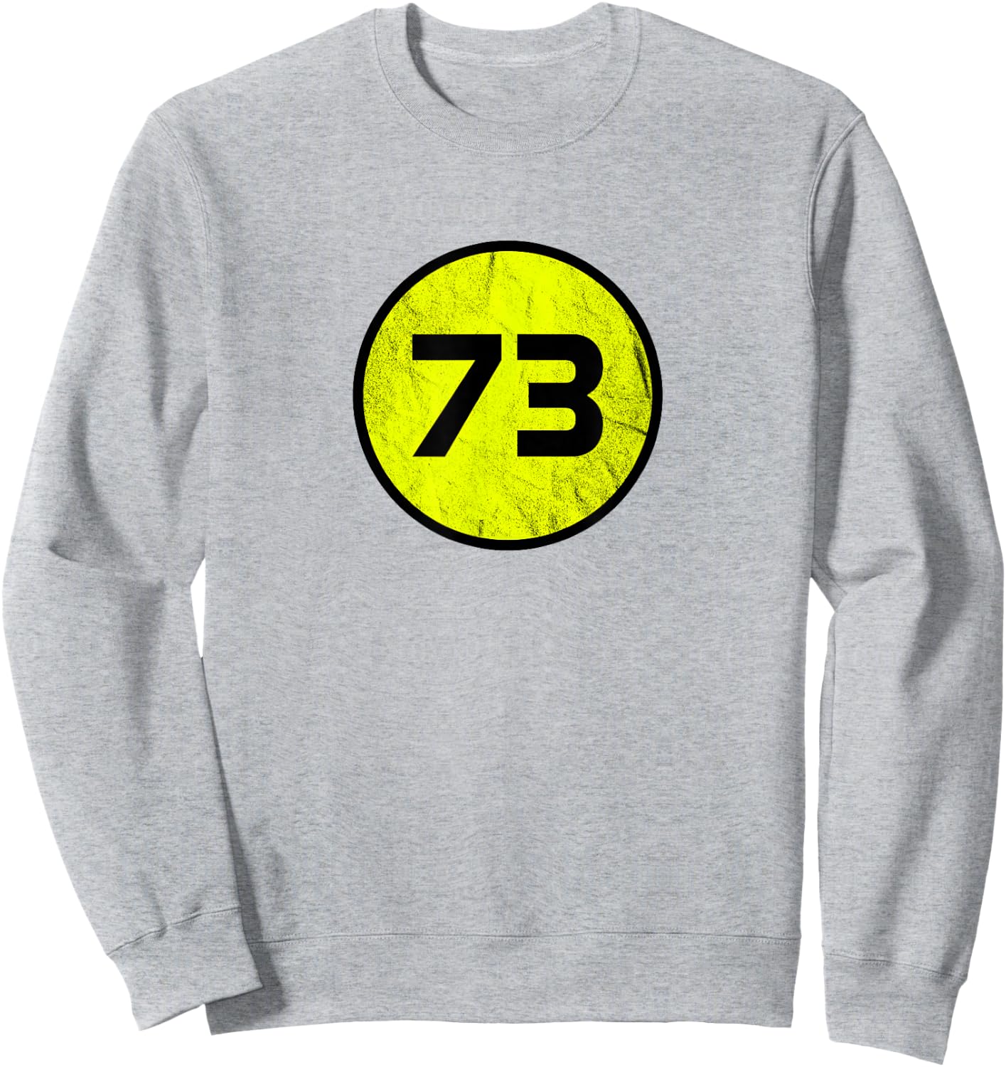 Number 73 Sweatshirt - Sweatshirt | Ash