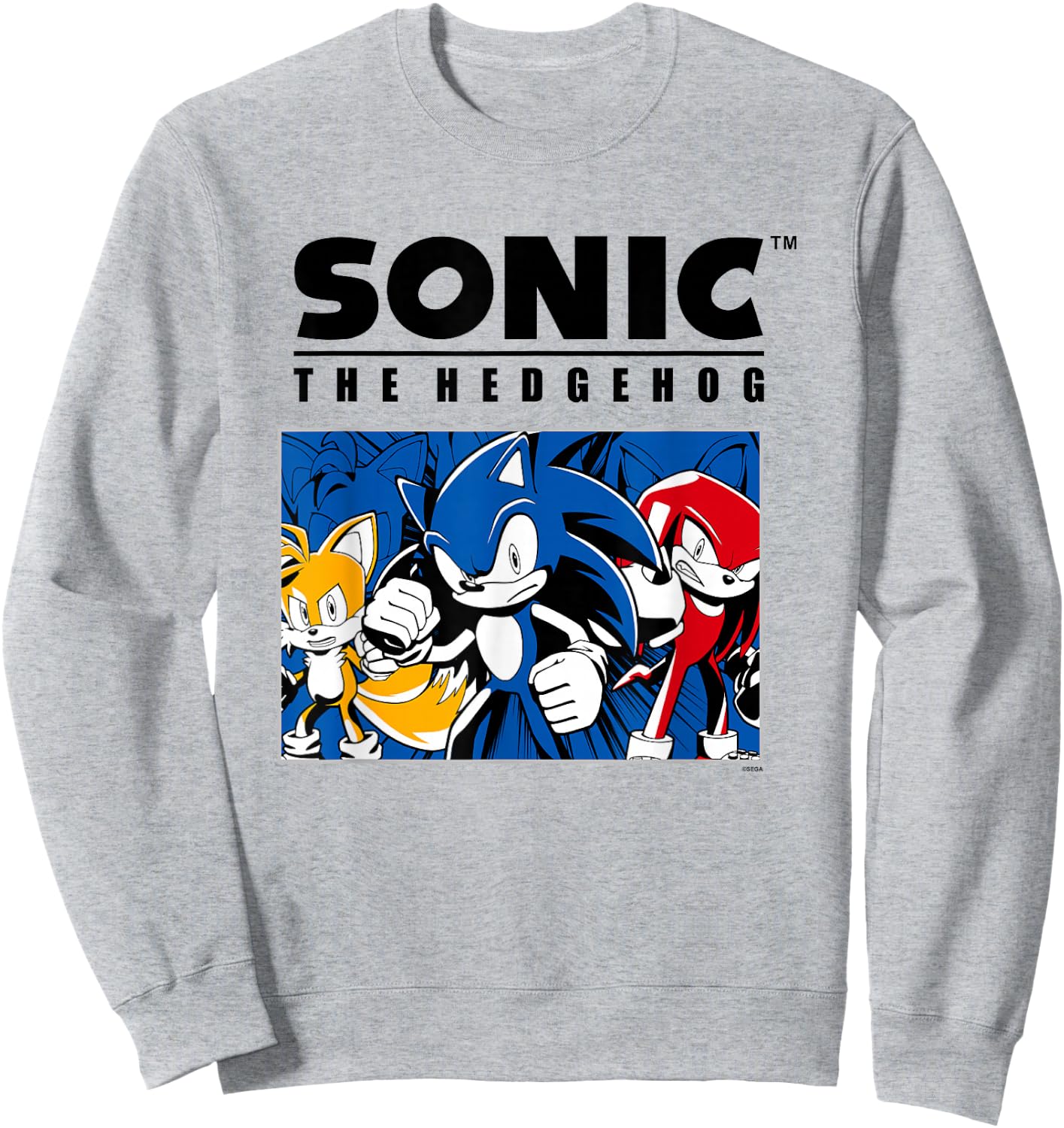 Sonic The Hedgehog Main Trio Heroic Group Portrait Sweatshirt - Sweatshirt | Ash