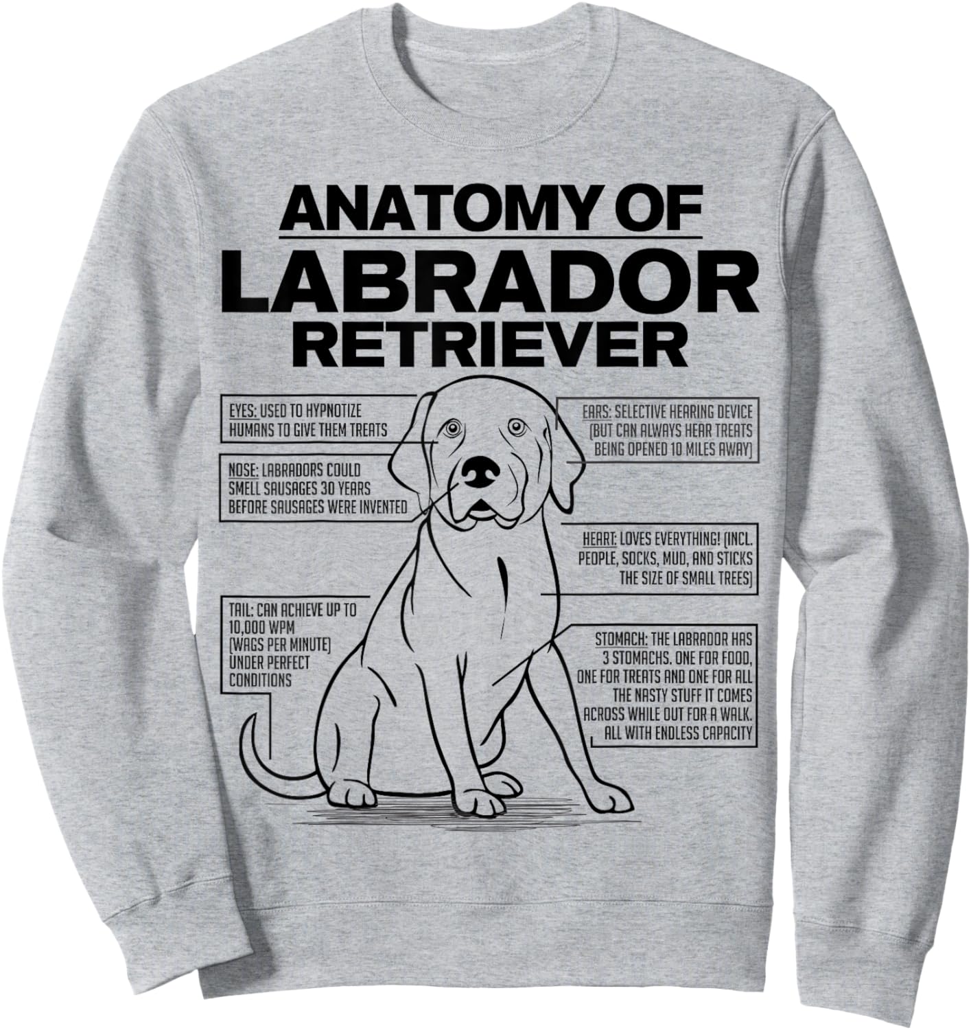 Anatomy of a Labrador Retriever Funny Dog owner gifts shirt Sweatshirt - Sweatshirt | Ash