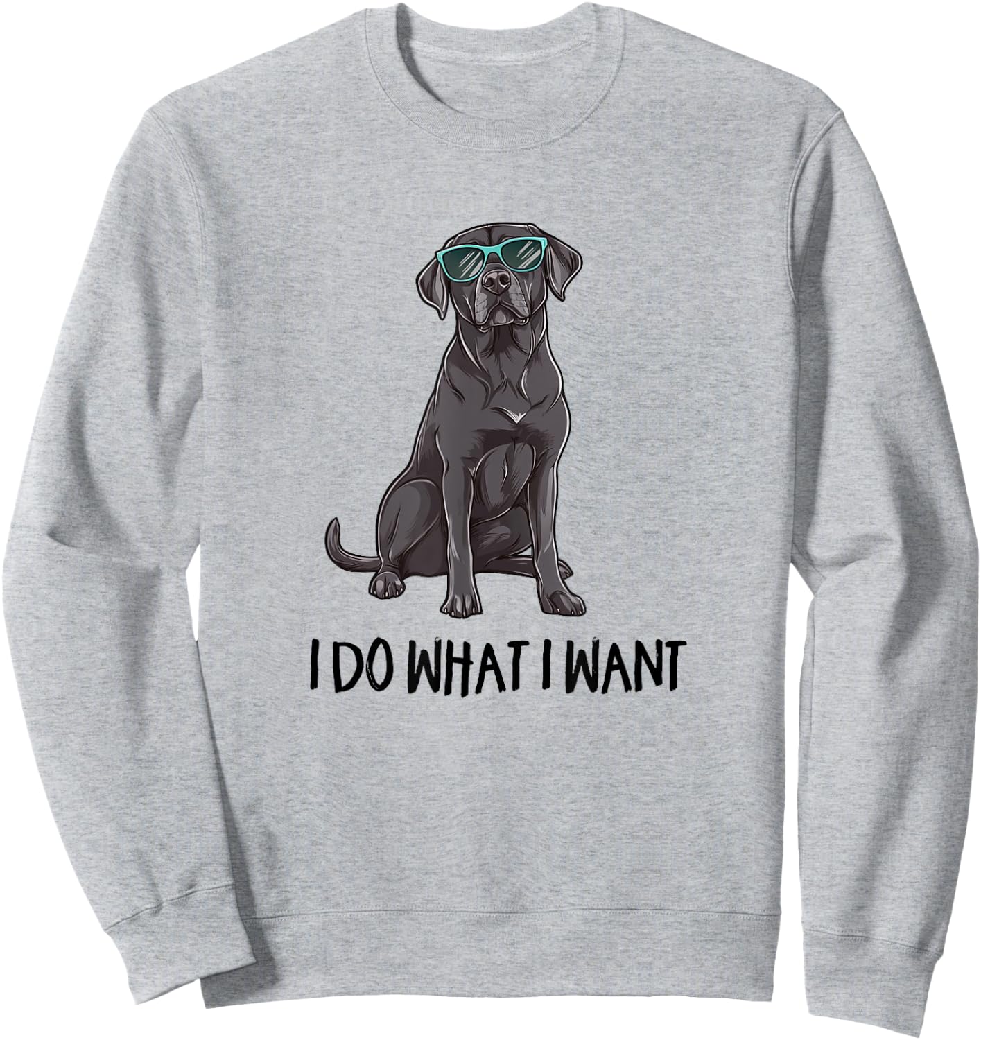 & Kids Funny Do What I Want Black Lab Lover Sweatshirt - Sweatshirt | Ash