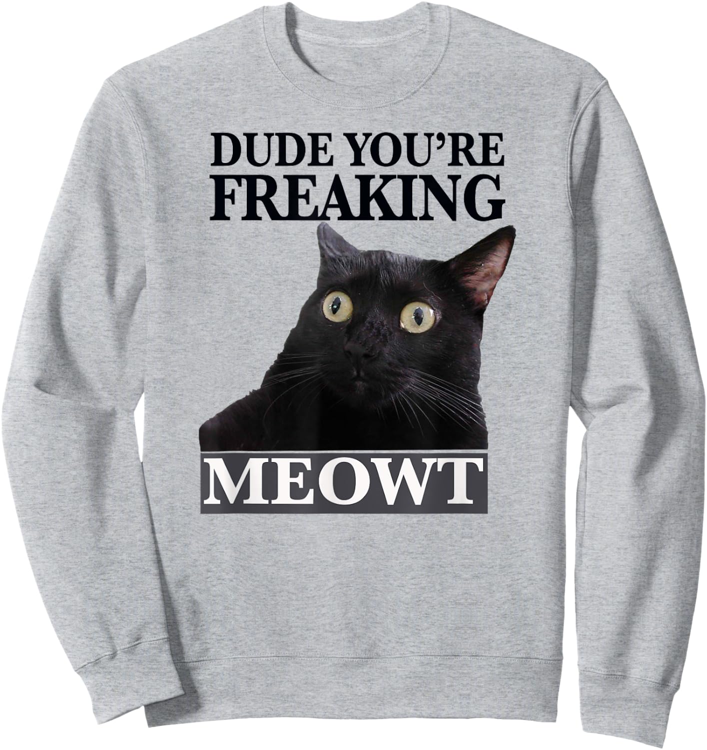 Dude You're Freaking Meowt Shocked Cat Image Men Women Girls Kids Sweatshirt - Sweatshirt | Ash