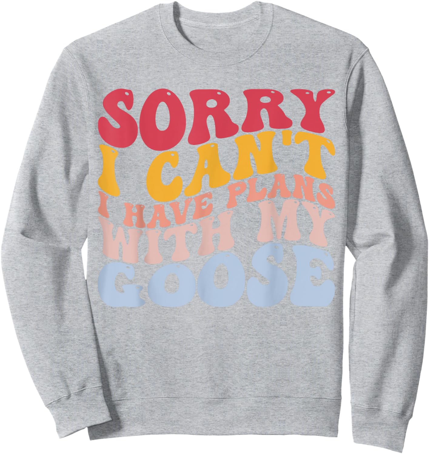 Sorry I Can't I Have Plans With My Goose Goose Lovers Sweatshirt - Sweatshirt | Ash