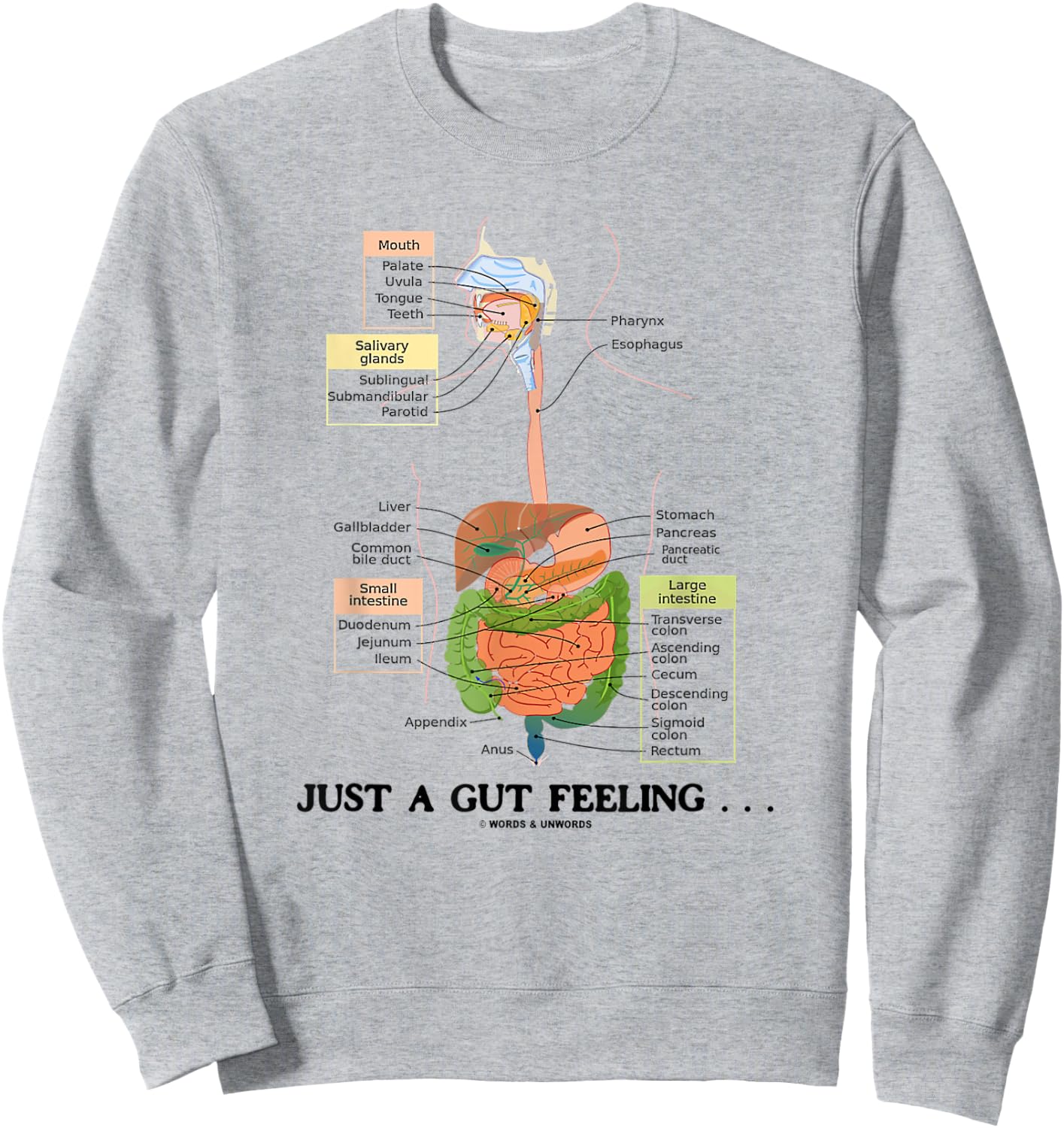 Just A Gut Feeling Digestive System Humor Sweatshirt - Sweatshirt | Ash