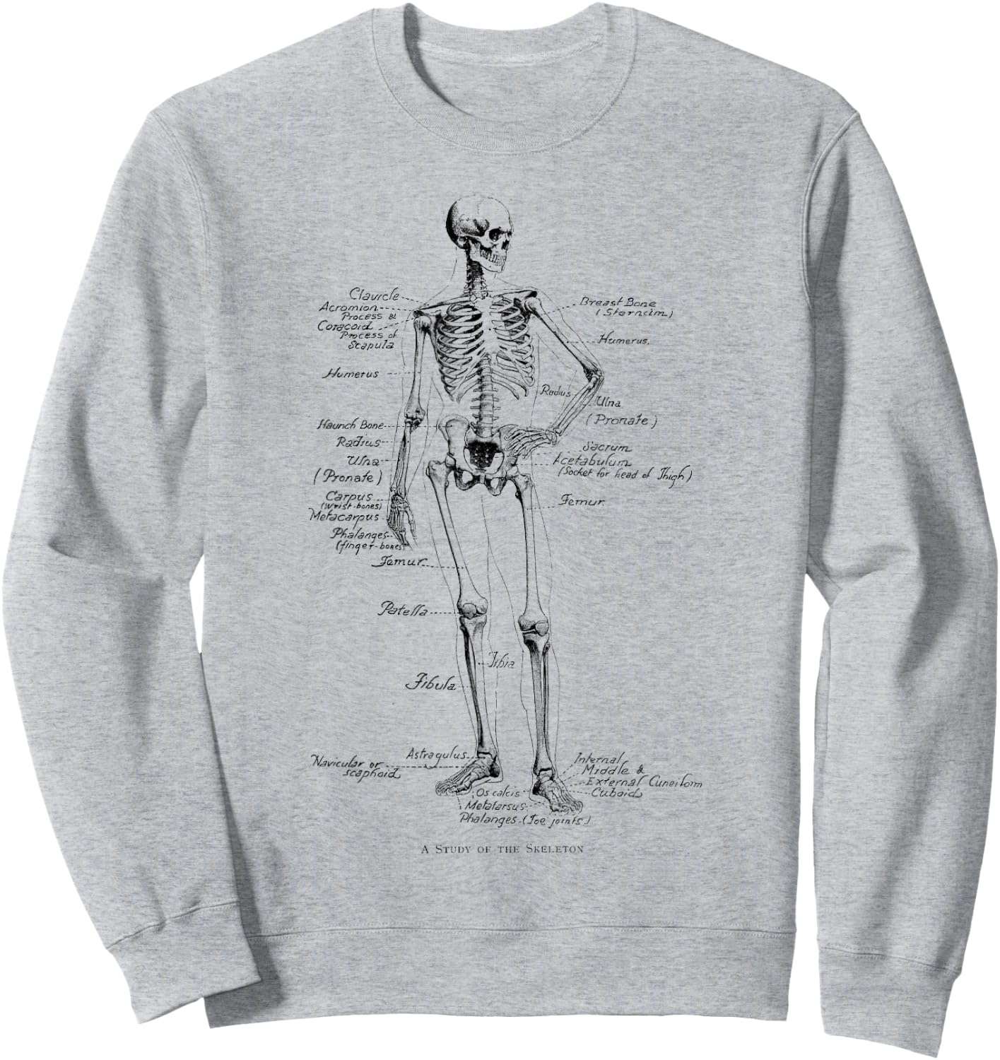 Human Skeleton Anatomical Skeleton bones Sweatshirt - Sweatshirt | Ash