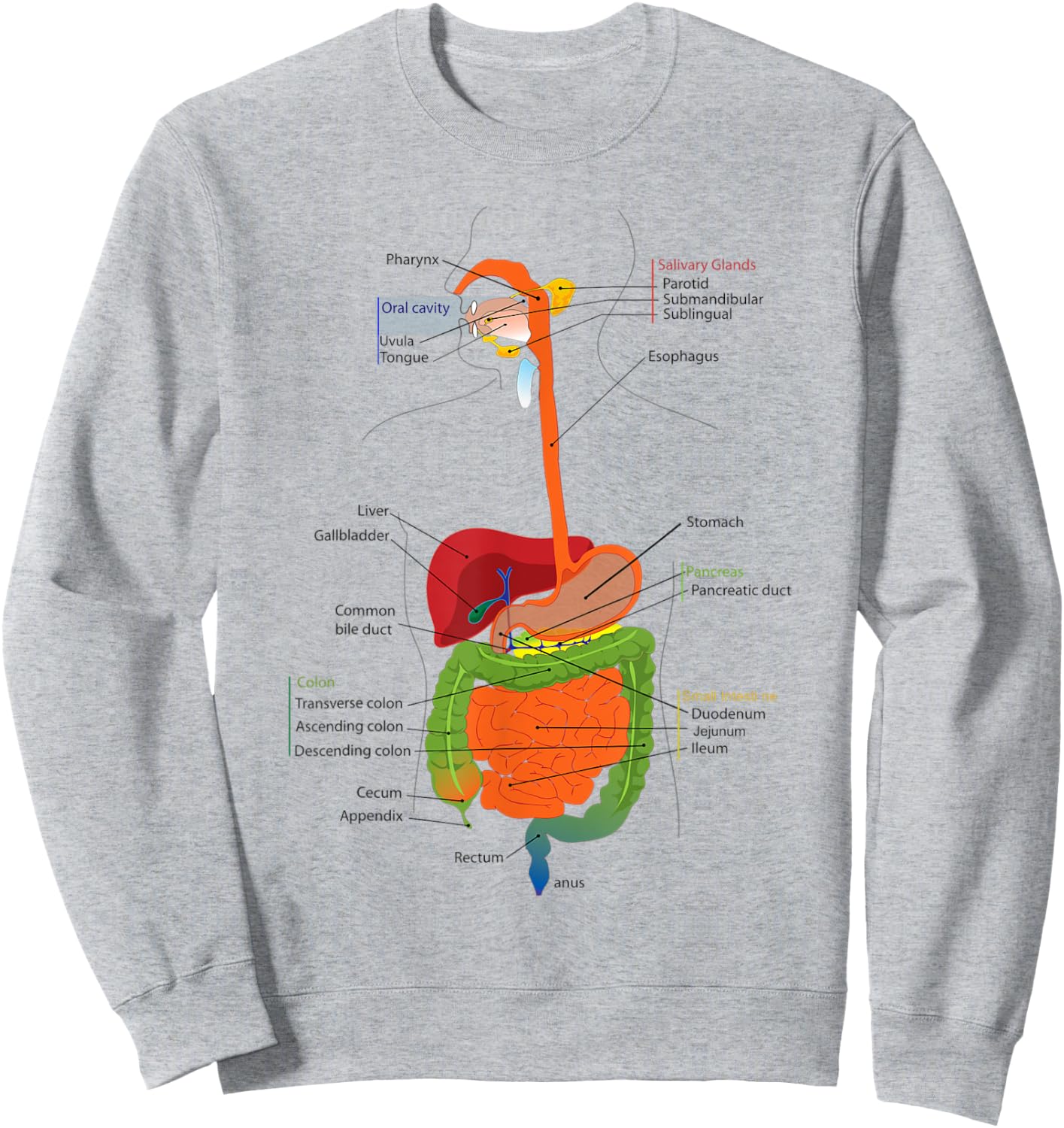 Human Body Digestive System Gastrointestinal Tract Anatomy Sweatshirt - Sweatshirt | Ash