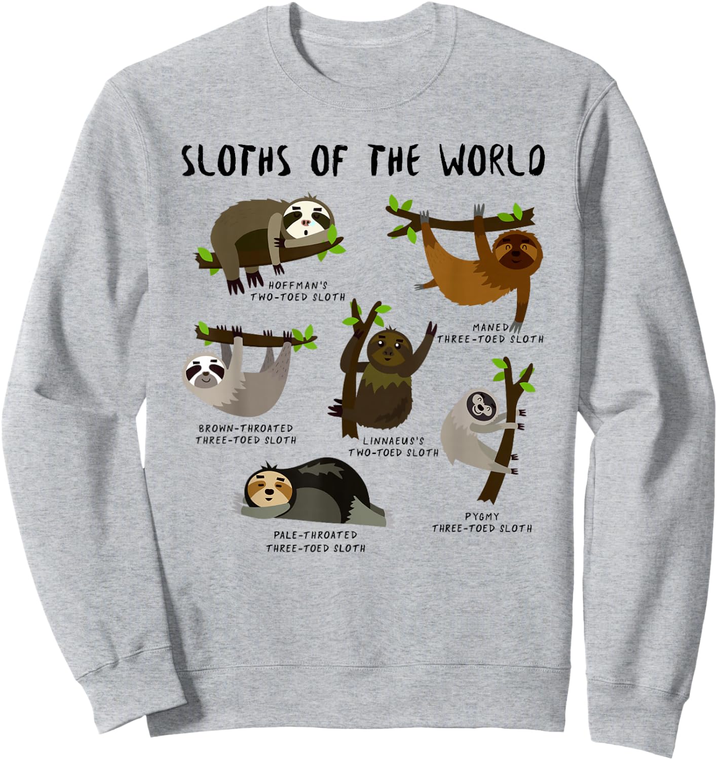 Kids Youth Boys Sloth Animal Design Themed - Types of Sloths Sweatshirt - Sweatshirt | Ash