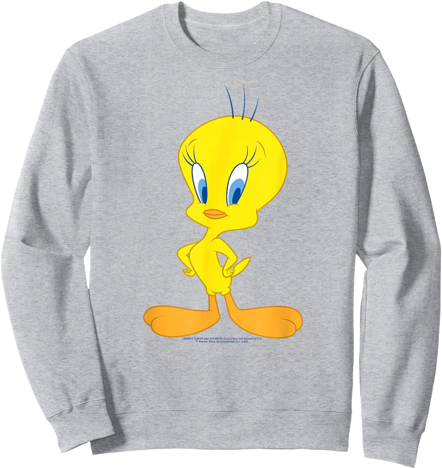 Bird Tweety Pie by Looney Tunes , white, S Sweatshirt - Sweatshirt | Ash