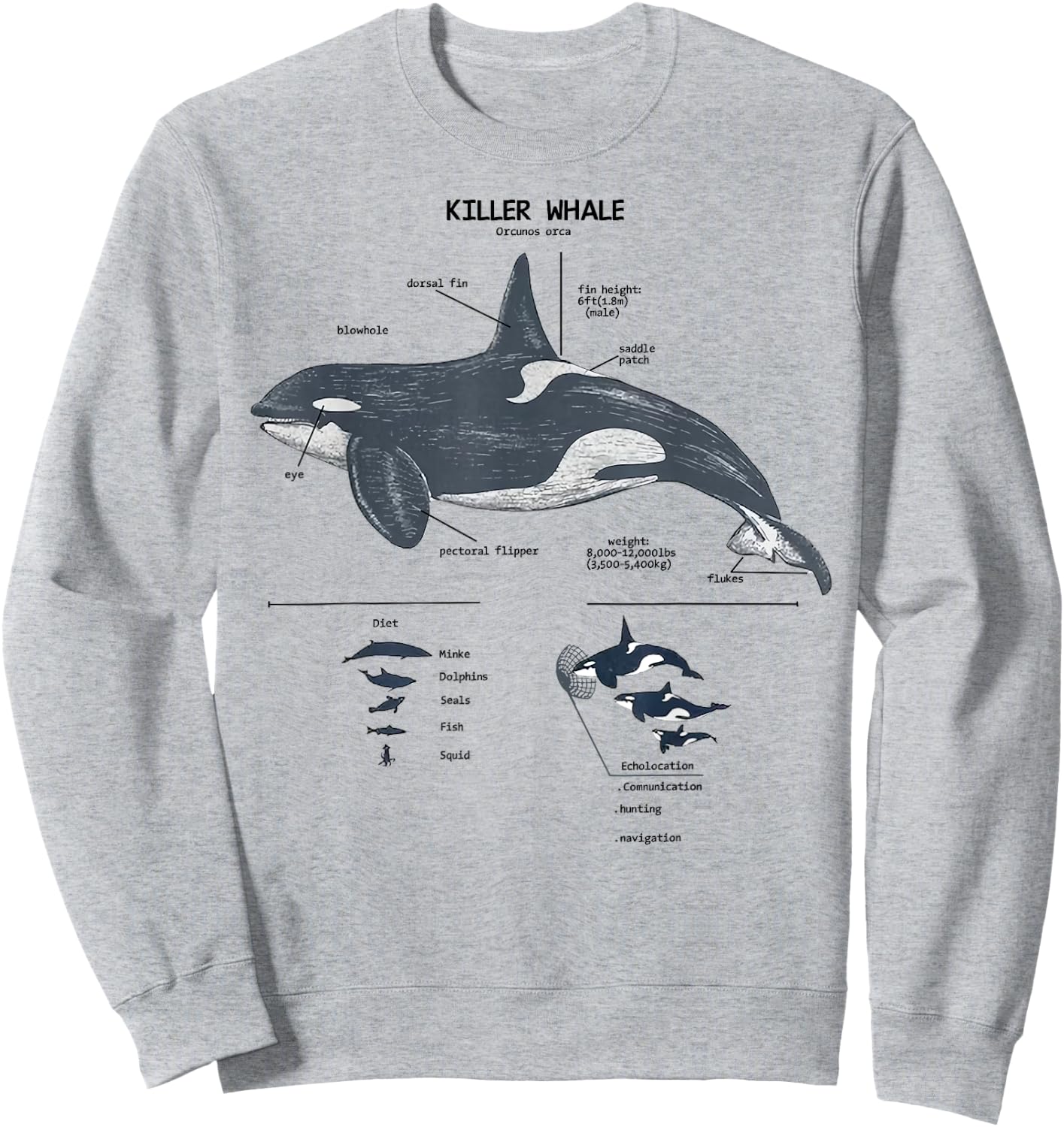 Killer Whale Anatomy Marine Biologist Sweatshirt - Sweatshirt | Ash